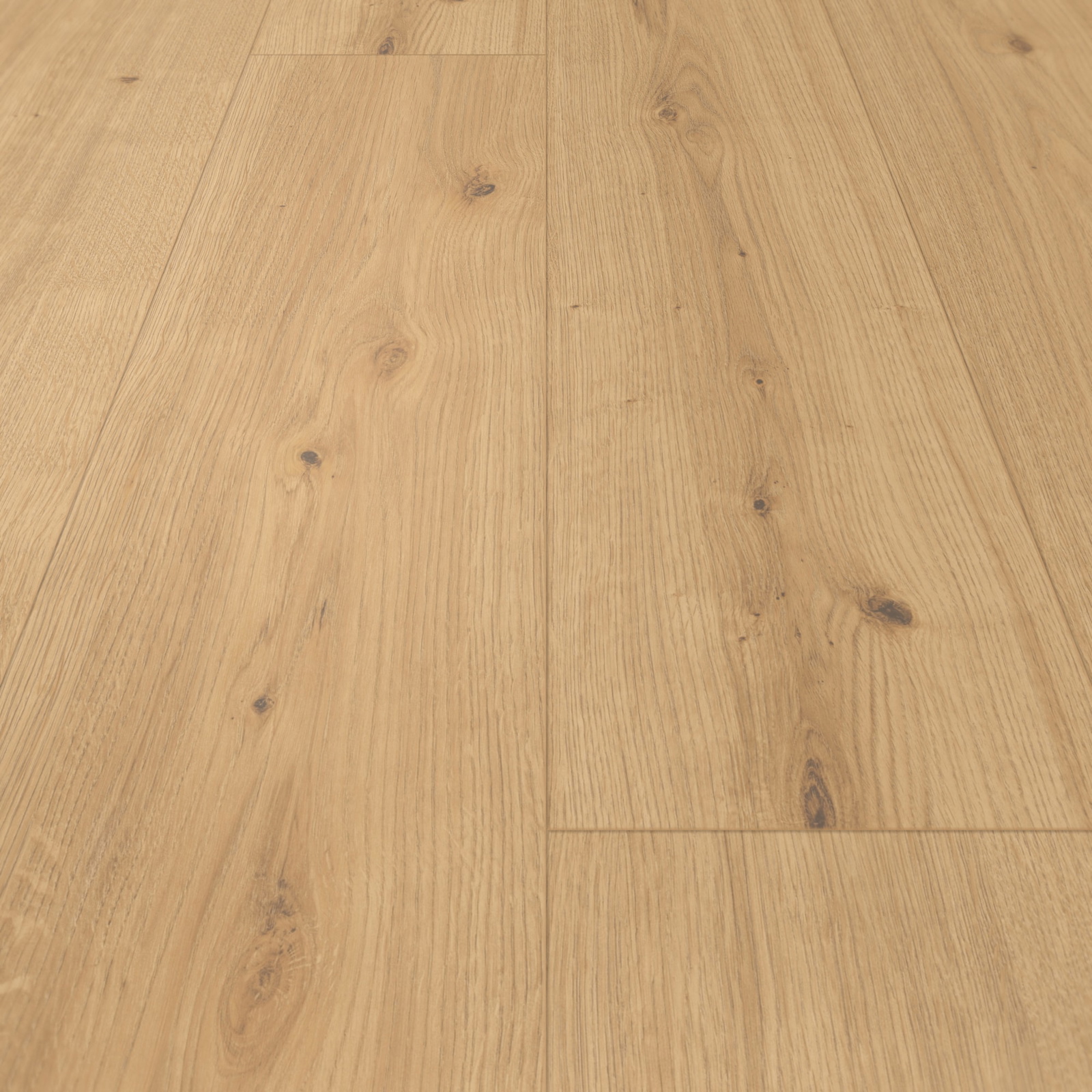 Parador HDF Klick-Designboden Modular ONE Eiche Atmosphere natur Authentische Struktur mit Synchronstruktur Landhausdiele