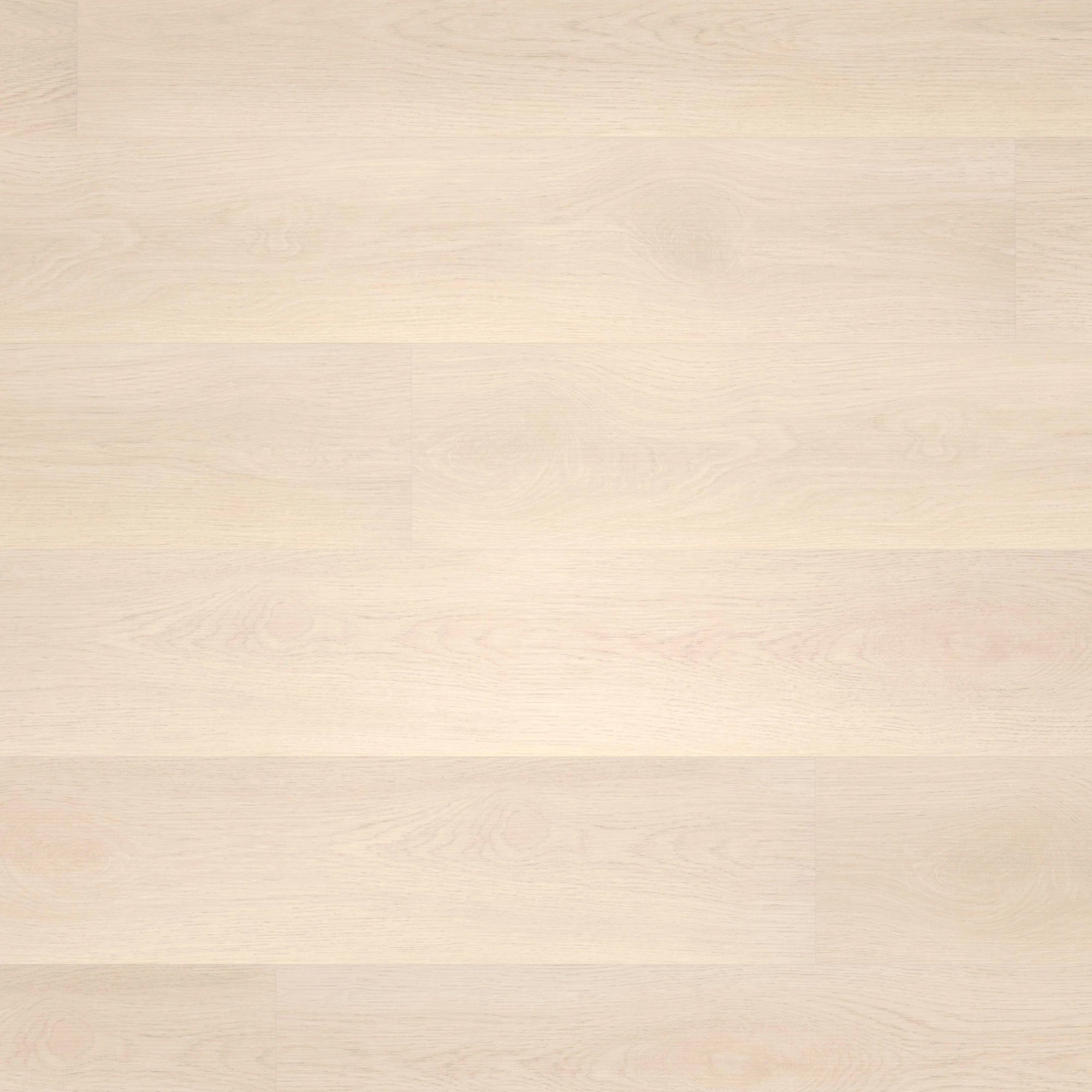 Draufsicht - wineo Klick-Bioboden PURLINE wineo 1000 wood L Soft Oak Salt Draufsicht - wineo PLC295R