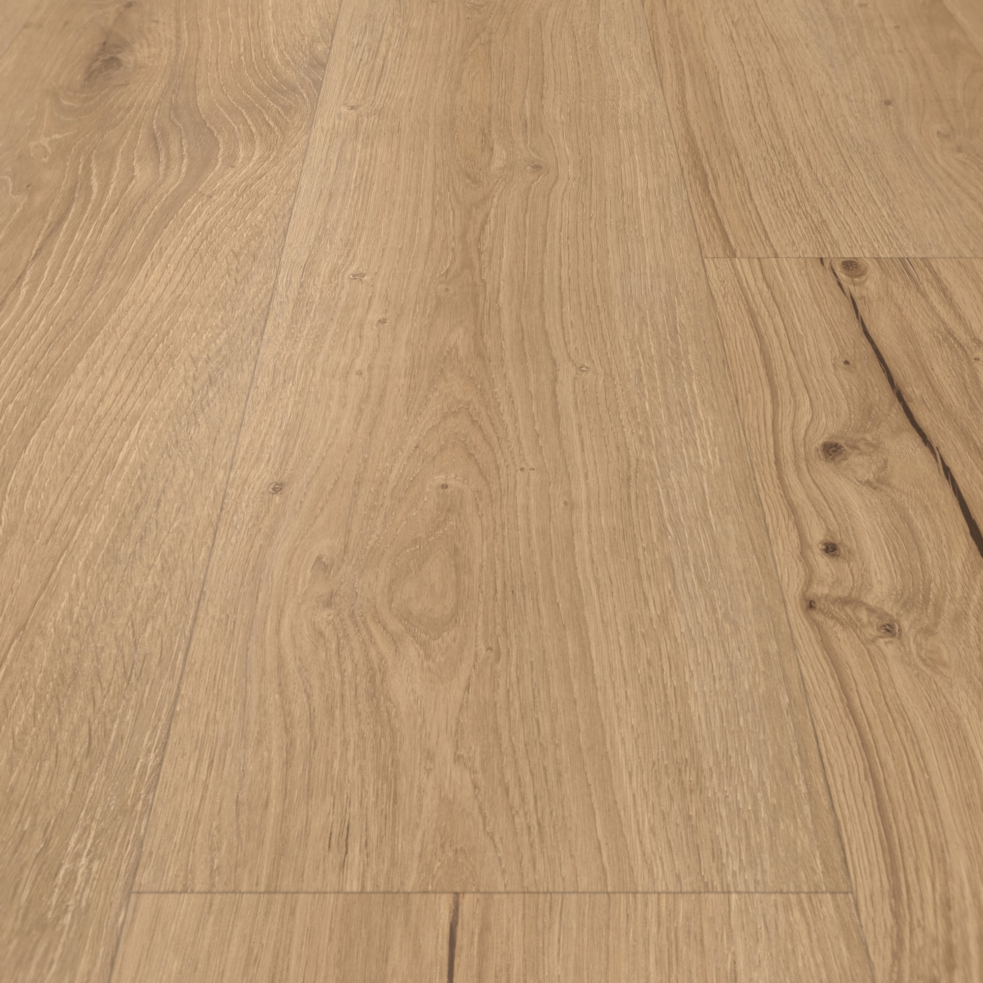 Detail Ansicht - Parador Klebe-Vinyl Classic 2025 Eiche Cambridge natur Detail Ansicht - Parador 1748873