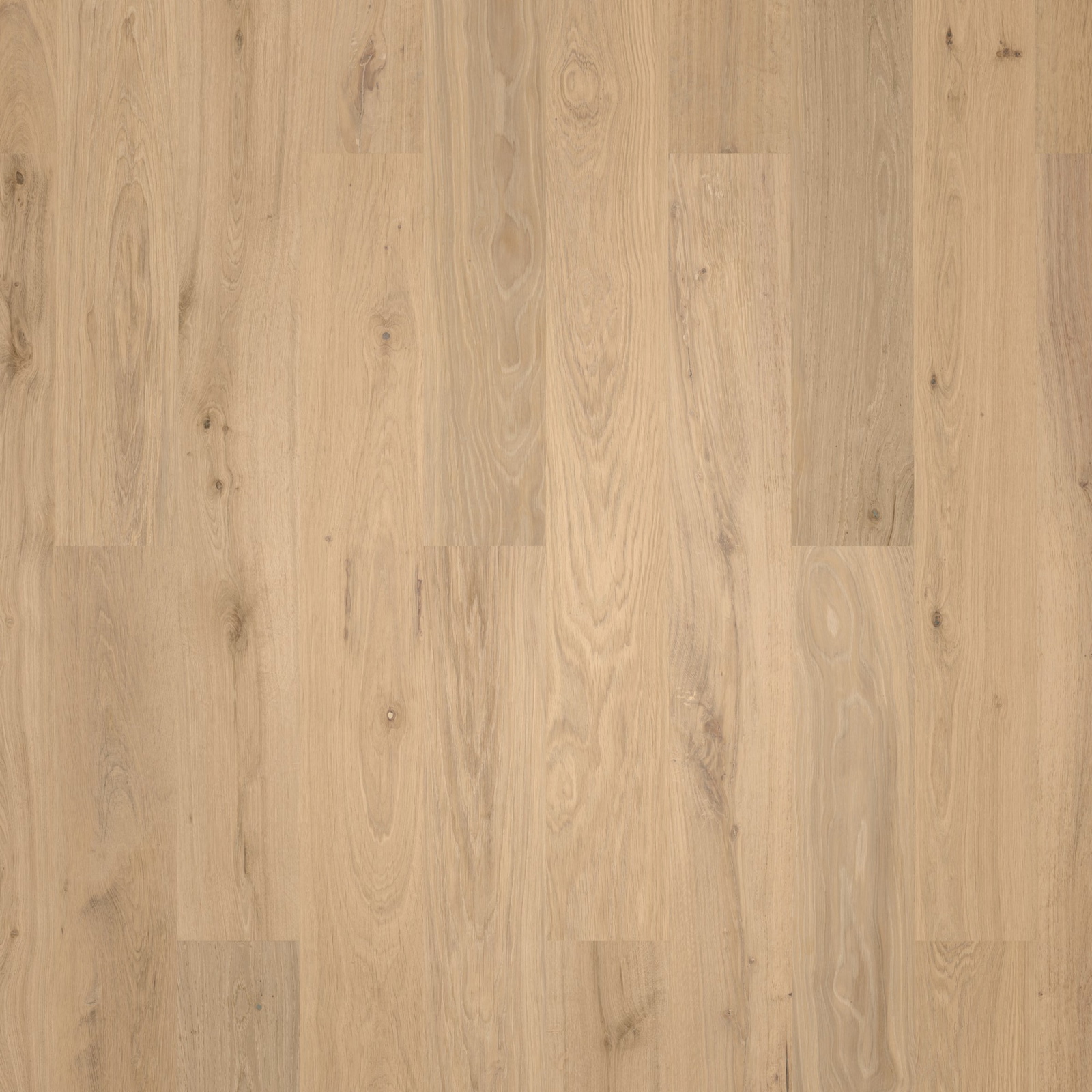 Wicanders HDF Klick-Designboden wood Natural XL Natural Oak Almond Synchronprägung