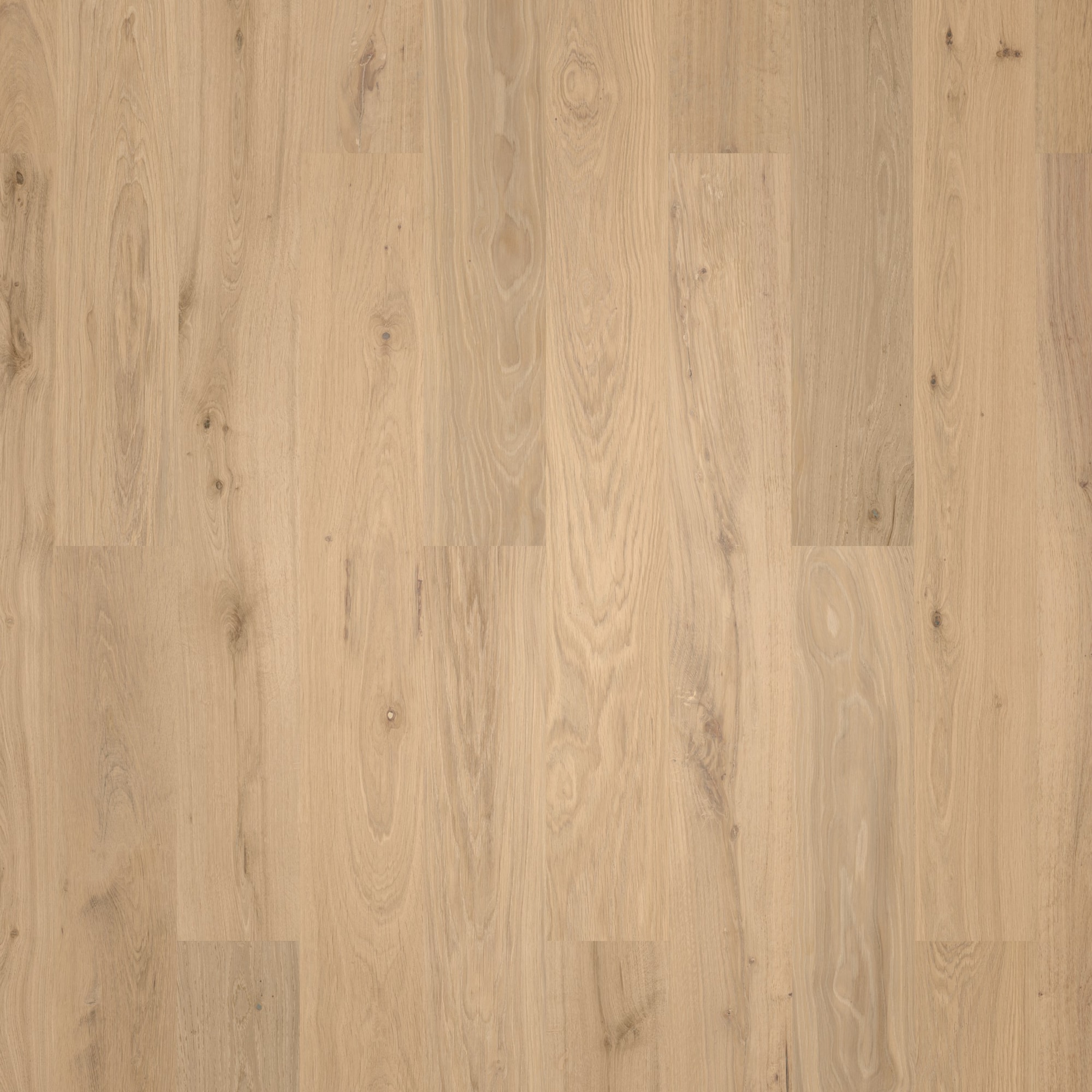 Wicanders HDF Klick-Designboden wood Natural XL Natural Oak Almond Synchronprägung Wicanders HDF Klick-Designboden wood Natural XL Natural Oak Almond Synchronprägung