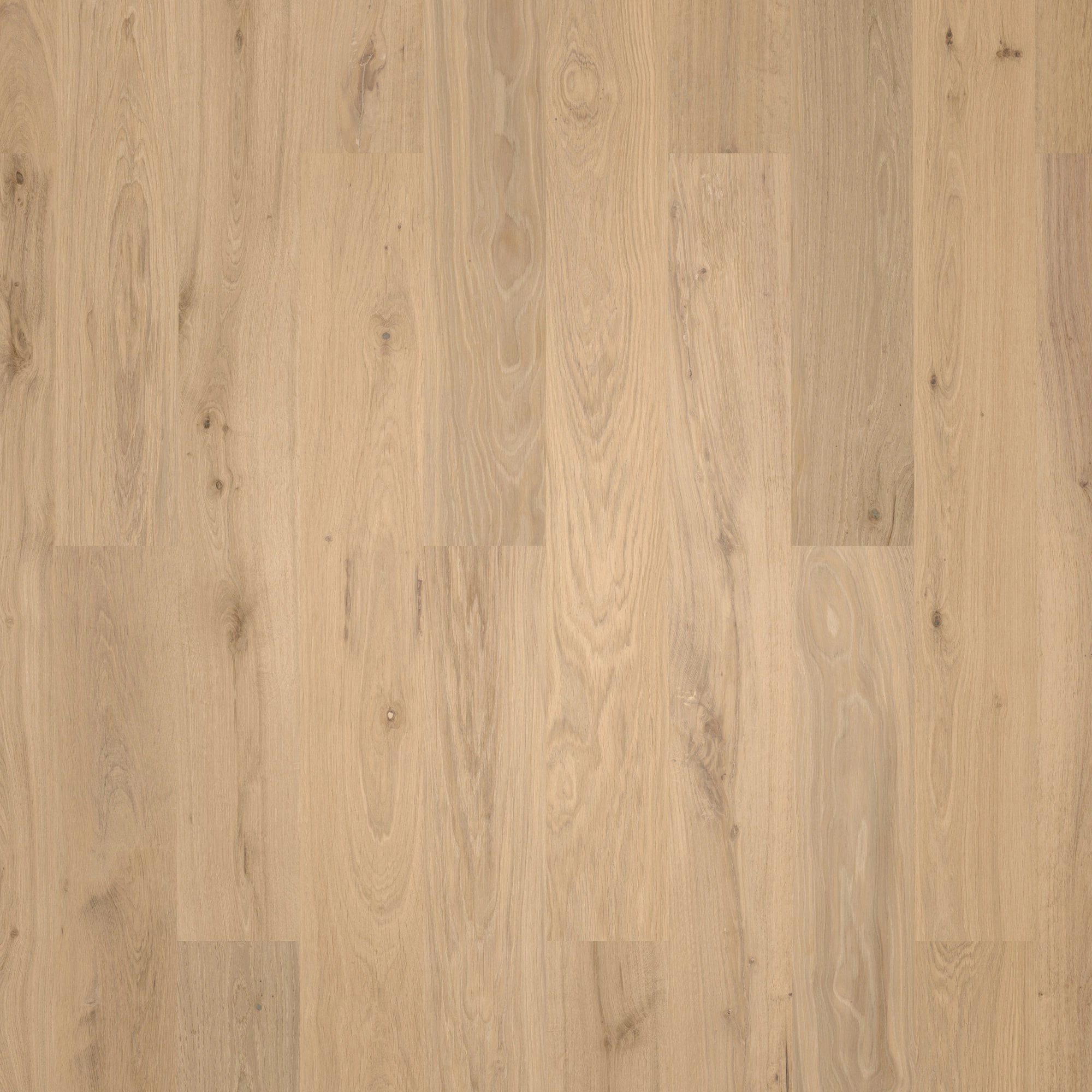 Wicanders HDF Klick-Designboden wood Natural XL Natural Oak Almond Synchronprägung Wicanders HDF Klick-Designboden wood Natural XL Natural Oak Almond Synchronprägung
