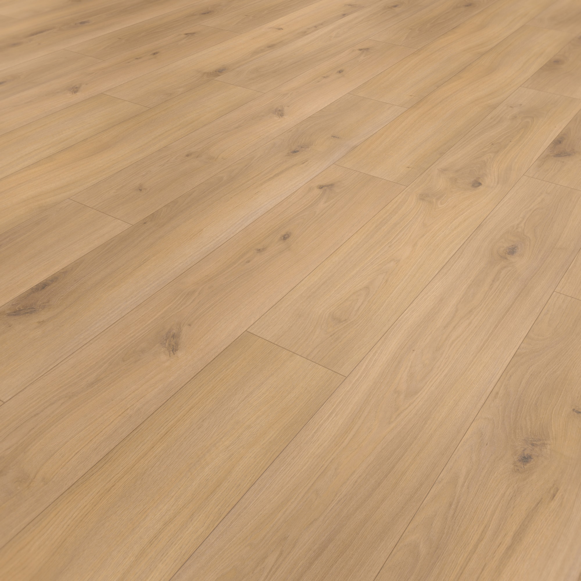 Parador Laminat Basic 400 Eiche Horizont Natur Seidenmatte Struktur 4V Parador Laminat Basic 400 Eiche Horizont Natur Seidenmatte Struktur 4V