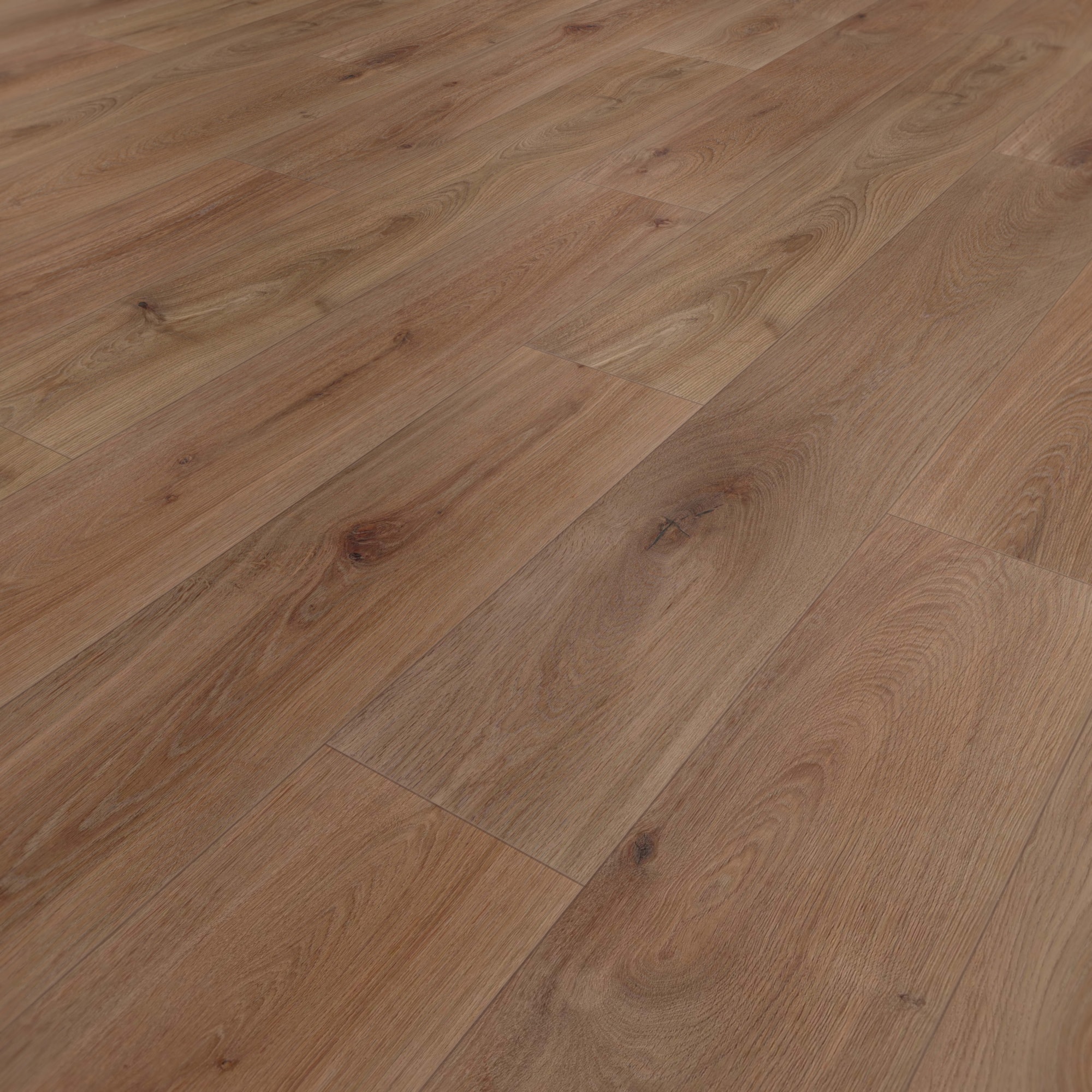Perspektivische Ansicht - wineo HDF Klick-Bioboden PURLINE wineo 1000 wood XL Noble Oak Chocolate Perspektivische Ansicht - wineo MLP312R
