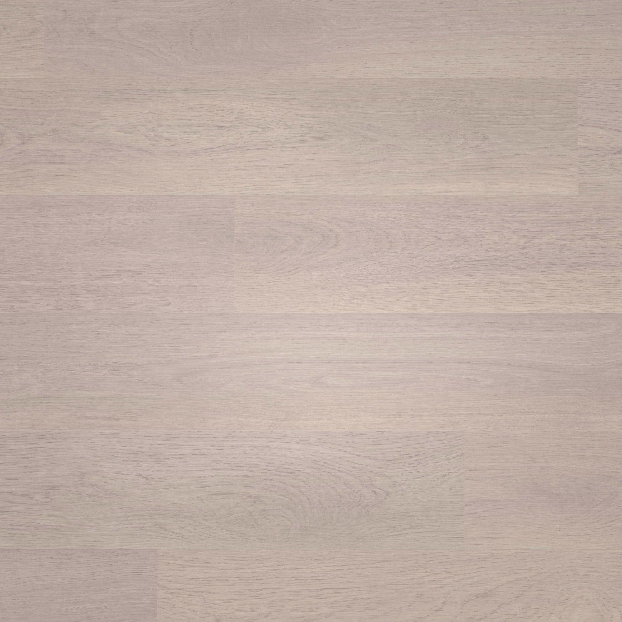 Draufsicht - wineo Klebe-Bioboden PURLINE wineo 1000 wood L Soft Oak Silver Draufsicht - wineo PL302R