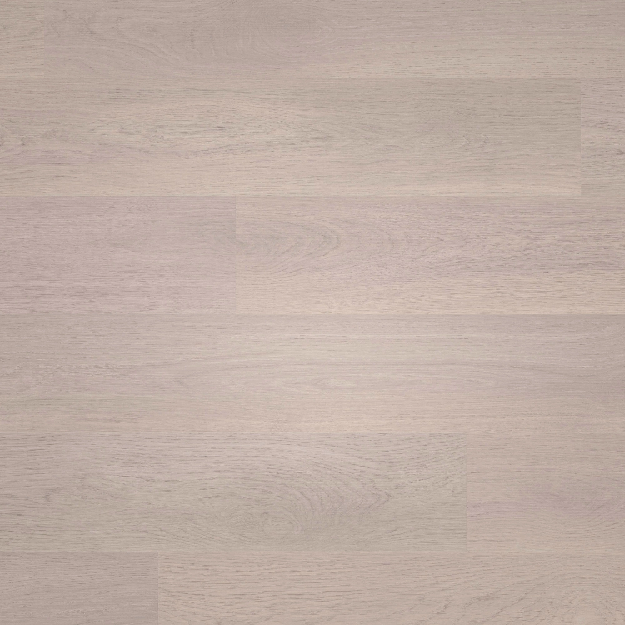 Draufsicht - wineo Klebe-Bioboden PURLINE wineo 1000 wood L Soft Oak Silver Draufsicht - wineo PL302R