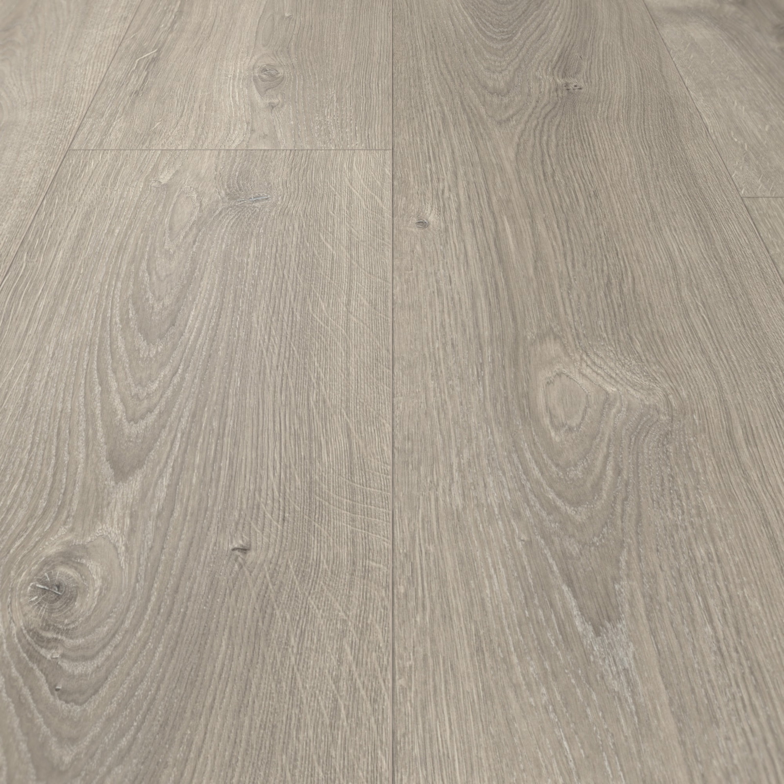 Parador Laminat Basic 600 Eiche Valere perlgrau gekälkt Naturstruktur mit Synchronstruktur Landhausdiele