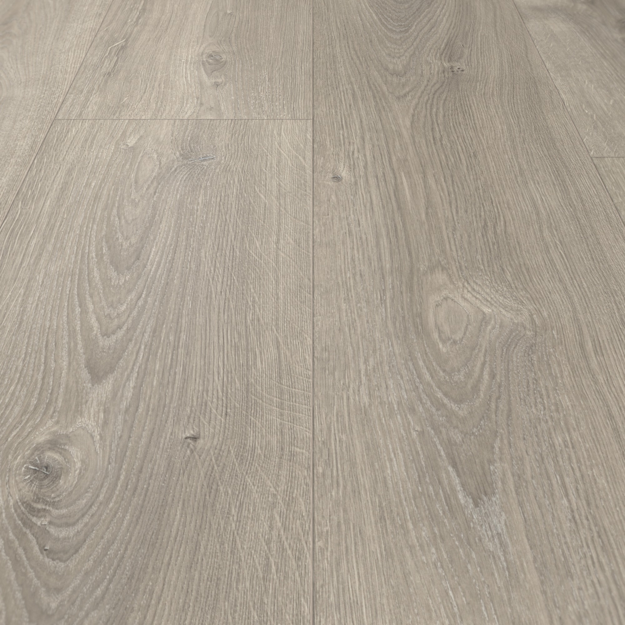 Parador Laminat Basic 600 Eiche Valere perlgrau gekälkt Naturstruktur mit Synchronstruktur Landhausdiele Parador Laminat Basic 600 Eiche Valere perlgrau gekälkt Naturstruktur mit Synchronstruktur Landhausdiele