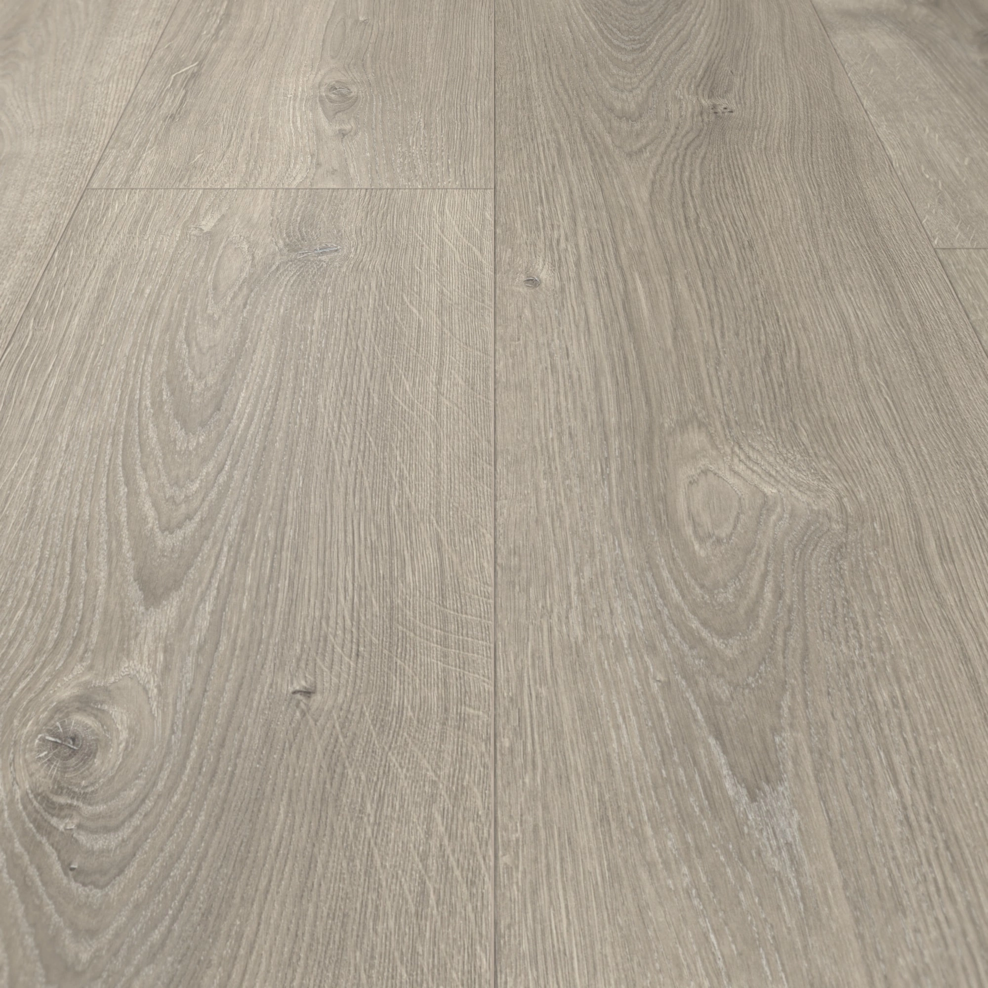 Parador Laminat Basic 600 Eiche Valere perlgrau gekälkt Naturstruktur mit Synchronstruktur Landhausdiele Parador Laminat Basic 600 Eiche Valere perlgrau gekälkt Naturstruktur mit Synchronstruktur Landhausdiele