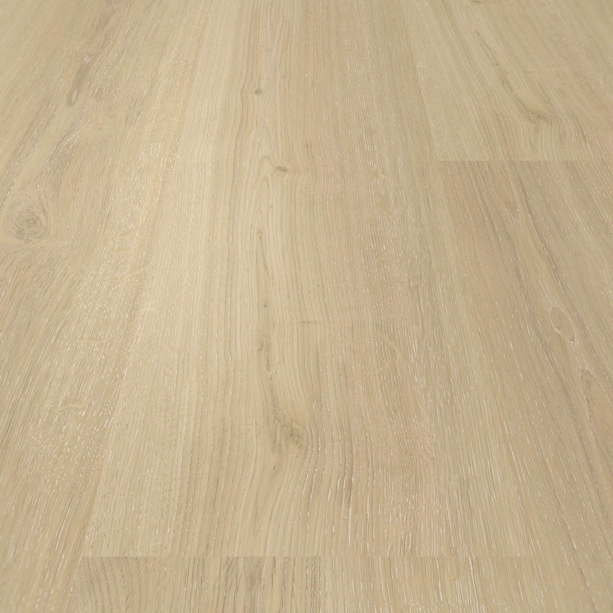 Detail Ansicht - Parador Klebe-Vinyl Basic 2.0 Eiche Regent beige Detail Ansicht - Parador 1748822