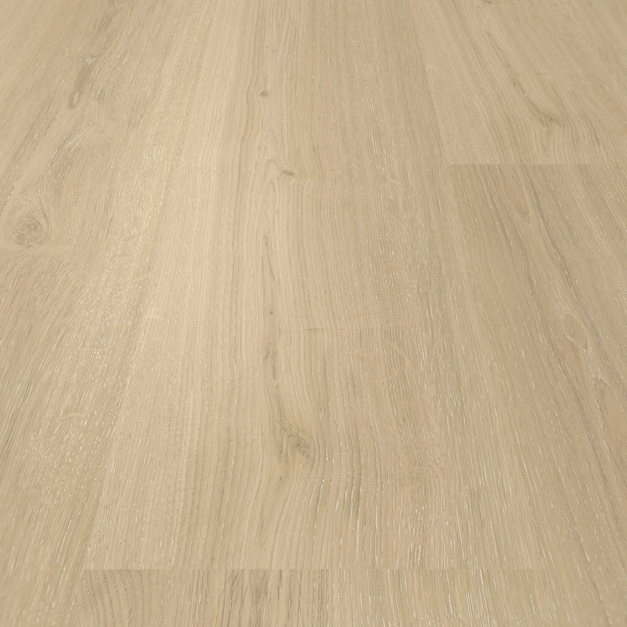 Detail Ansicht - Parador Klebe-Vinyl Basic 2.0 Eiche Regent beige Detail Ansicht - Parador 1748822