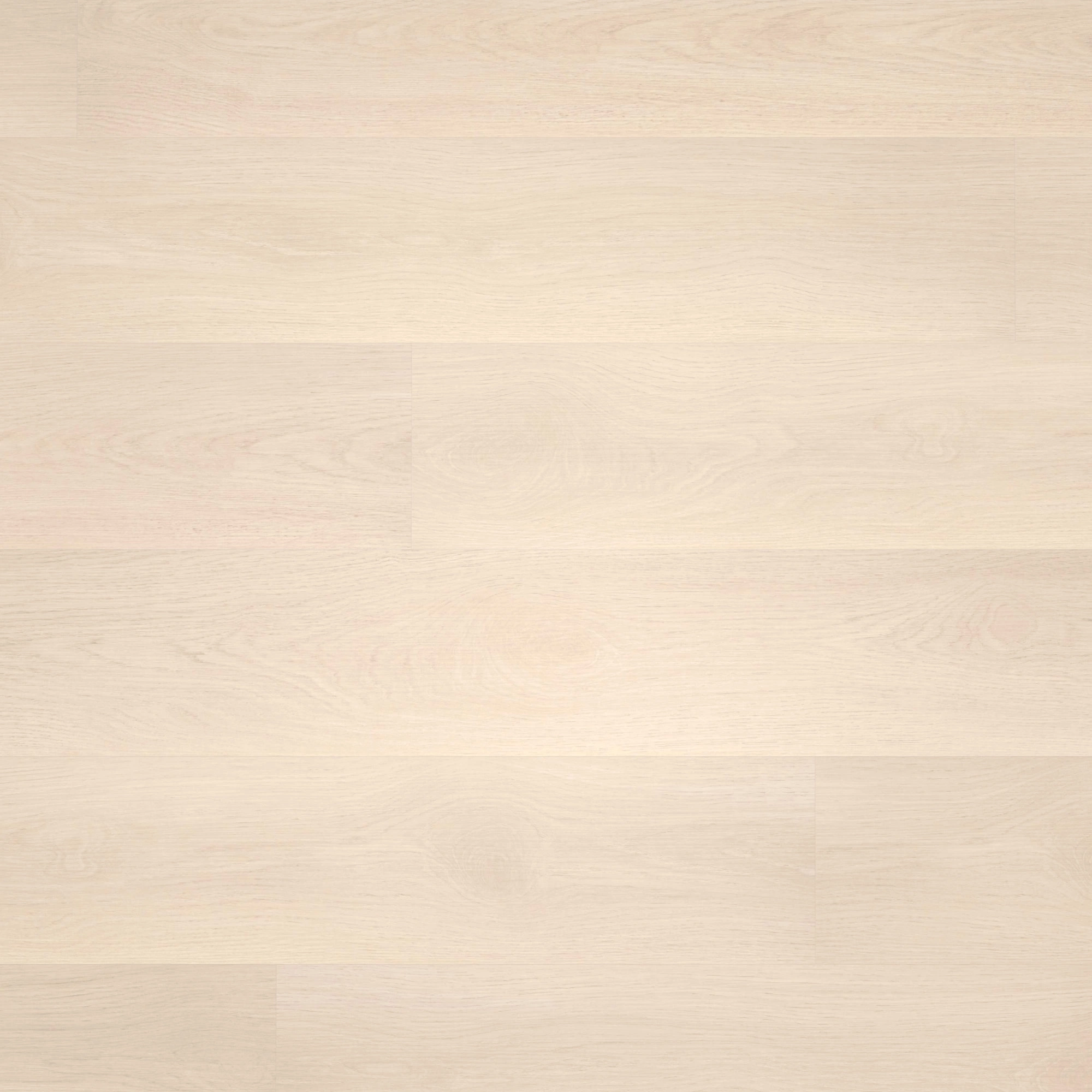Draufsicht - wineo Klebe-Bioboden PURLINE wineo 1000 wood L Soft Oak Salt Draufsicht - wineo PL295R