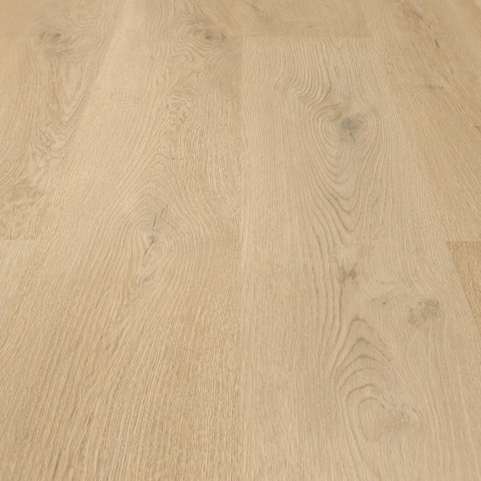 Detail Ansicht - wineo MLD281WL