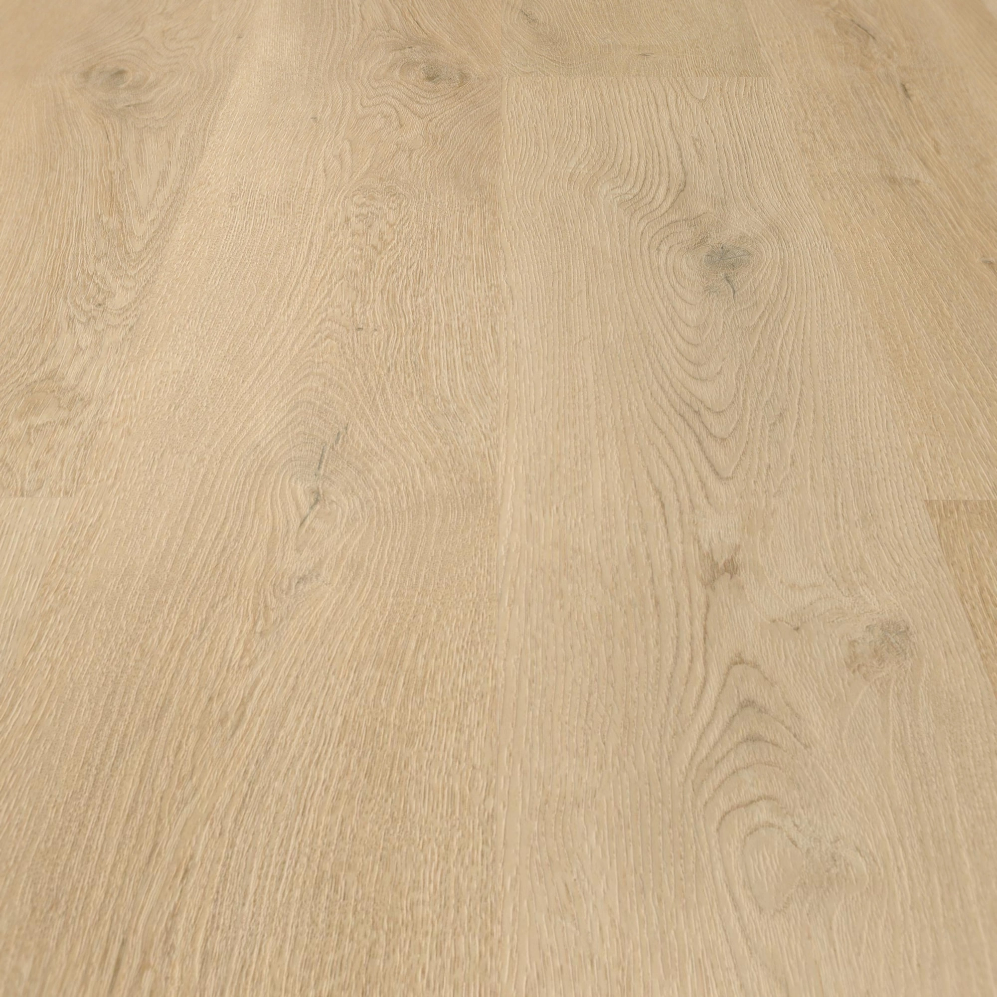Detail Ansicht - wineo HDF Klick-Vinyl wineo 400 wood L Plain Oak Beige Detail Ansicht - wineo MLD281WL