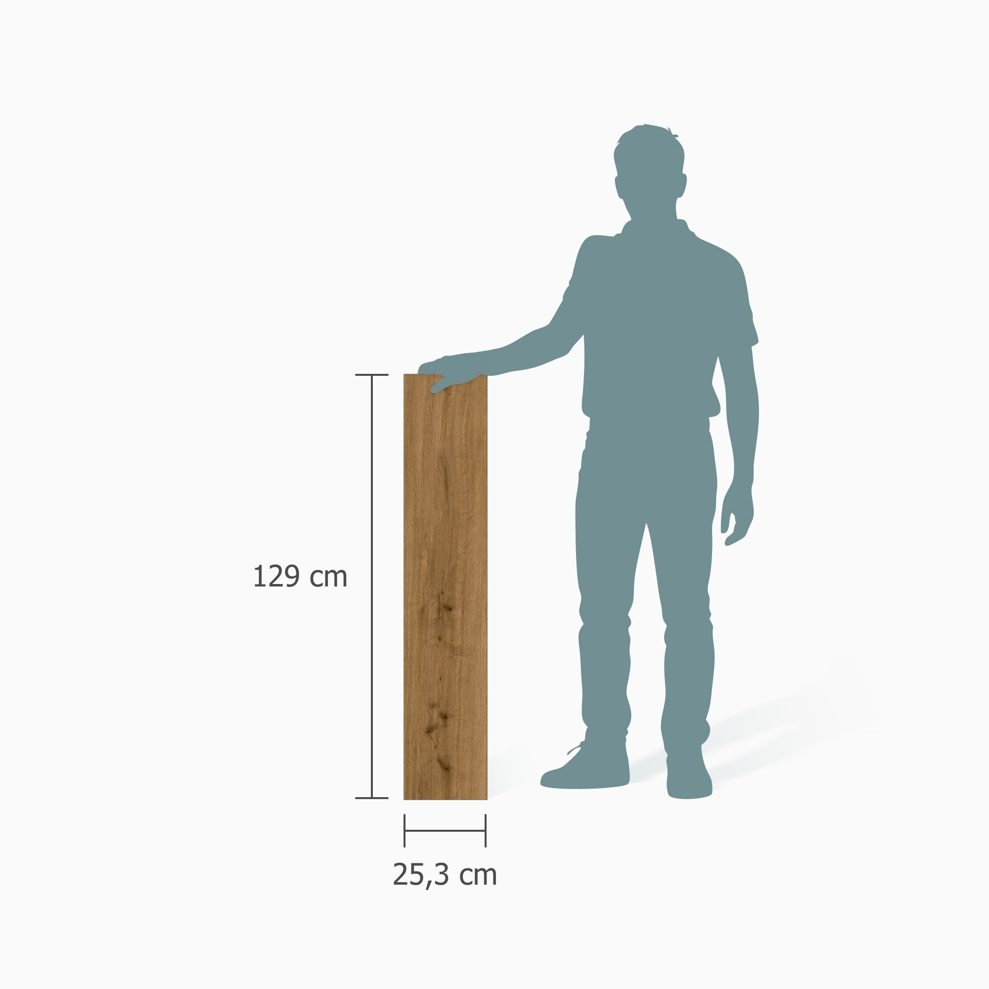 Größenverhältnis - MEISTER Klebe-Designboden DD 250 Tacoma Oak amber Größenverhältnis - MEISTER 400053-1290253-07455
