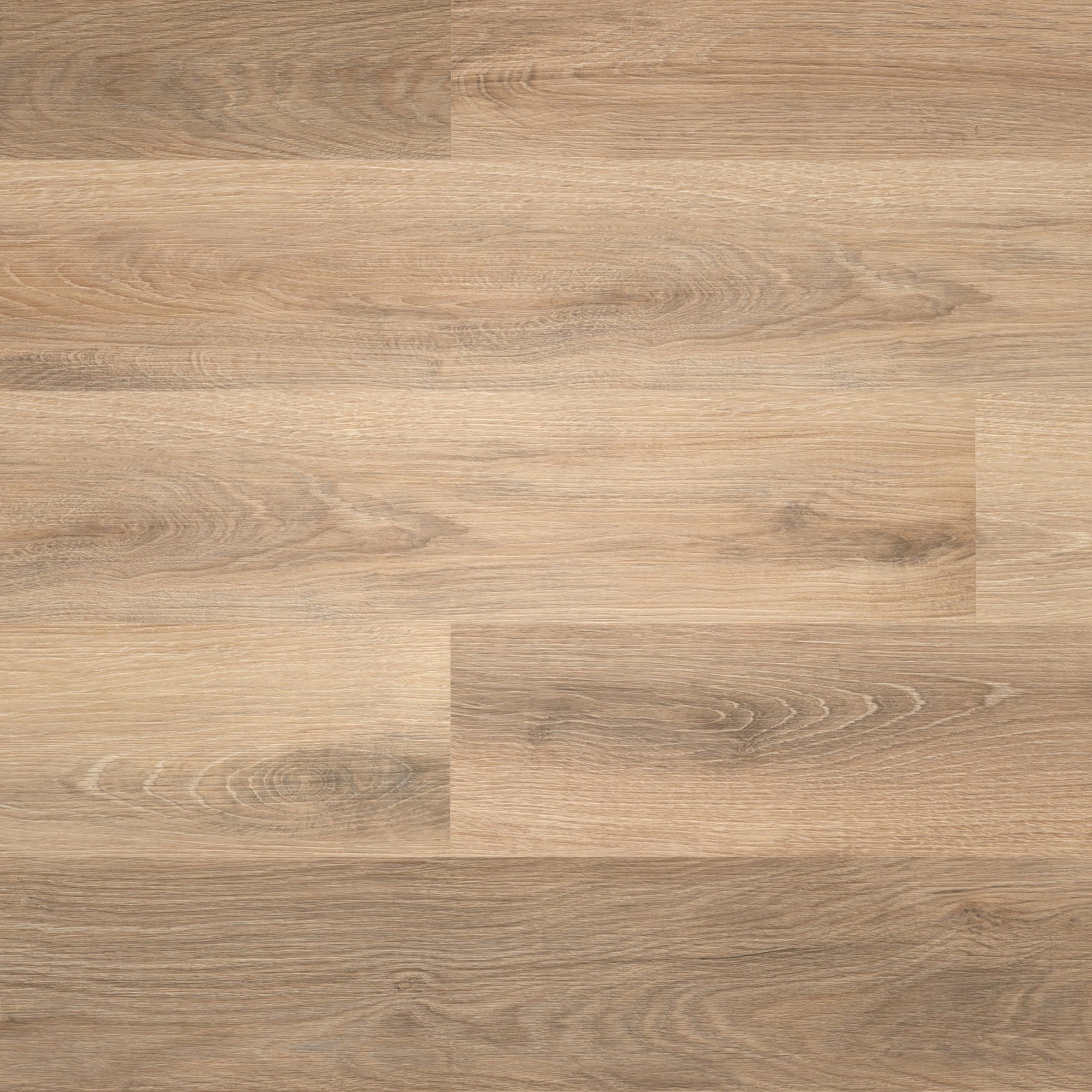 Draufsicht - wineo HDF Klick-Vinyl wineo 400 wood L Vivid Oak Nature Draufsicht - wineo MLD283WL