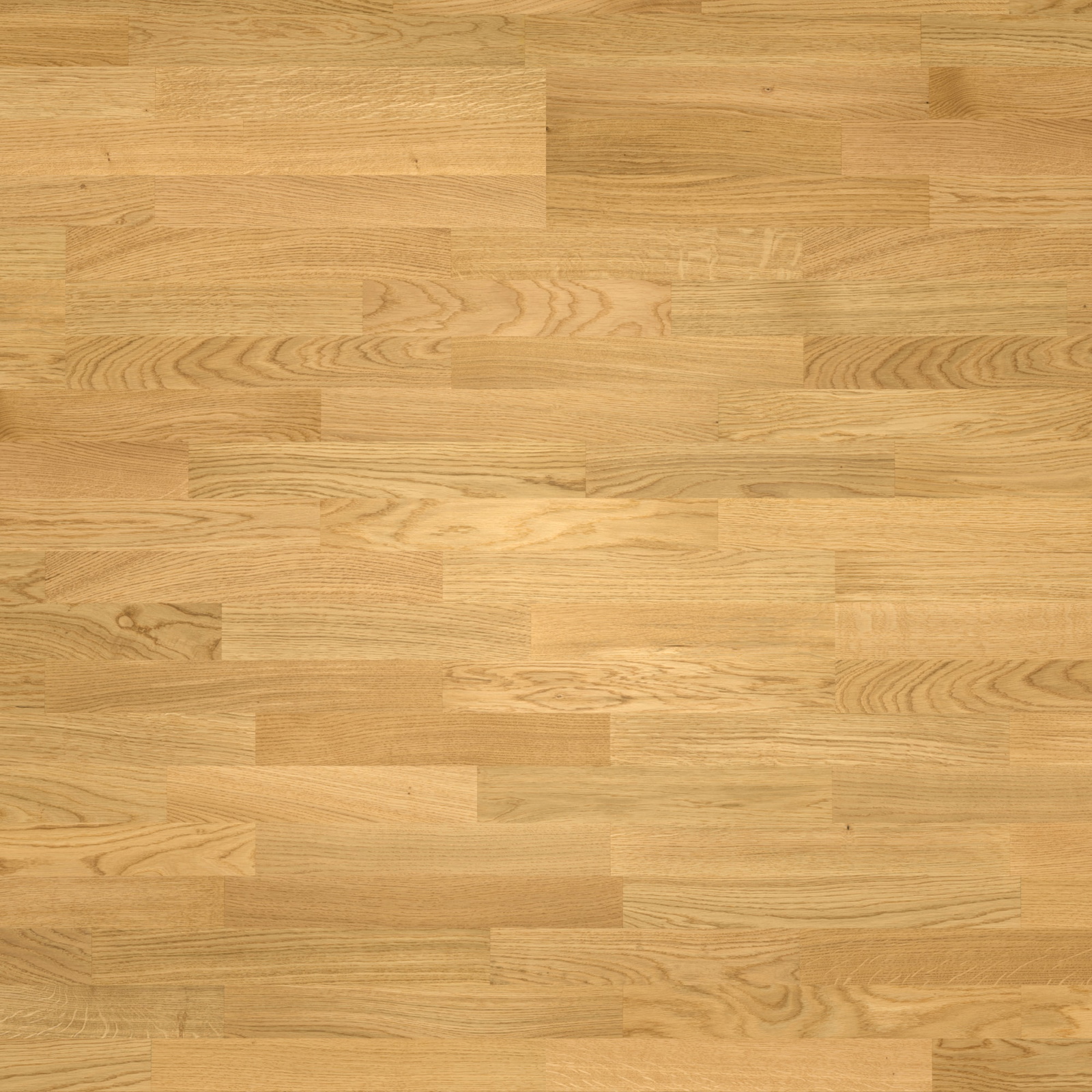 Parador Parkett Basic 11-5 Eiche Natur Holzstruktur Matt-Lackiert Schiffsboden