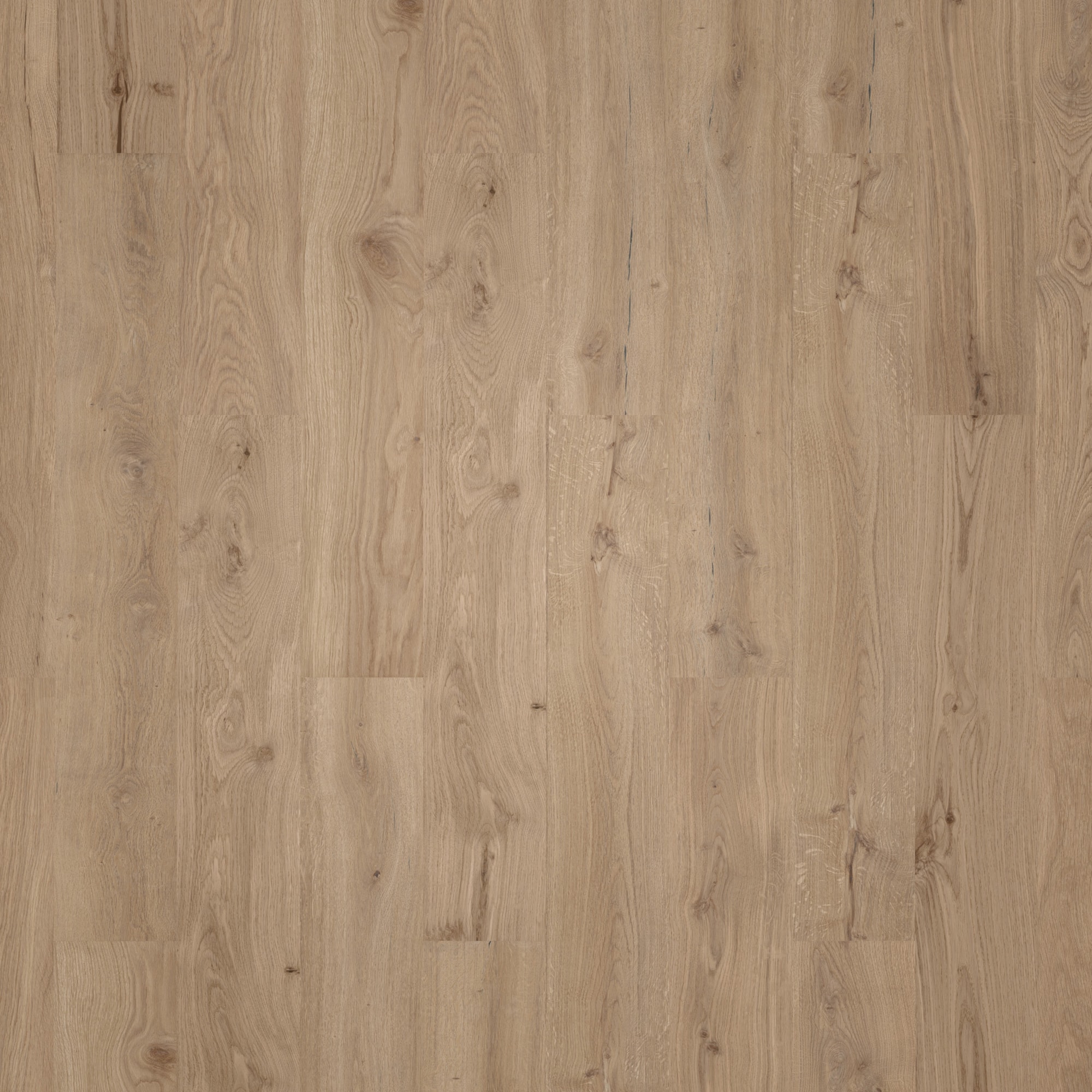 Wicanders HDF Klick-Designboden wood Natural Dakota Oak Synchronprägung Wicanders HDF Klick-Designboden wood Natural Dakota Oak Synchronprägung