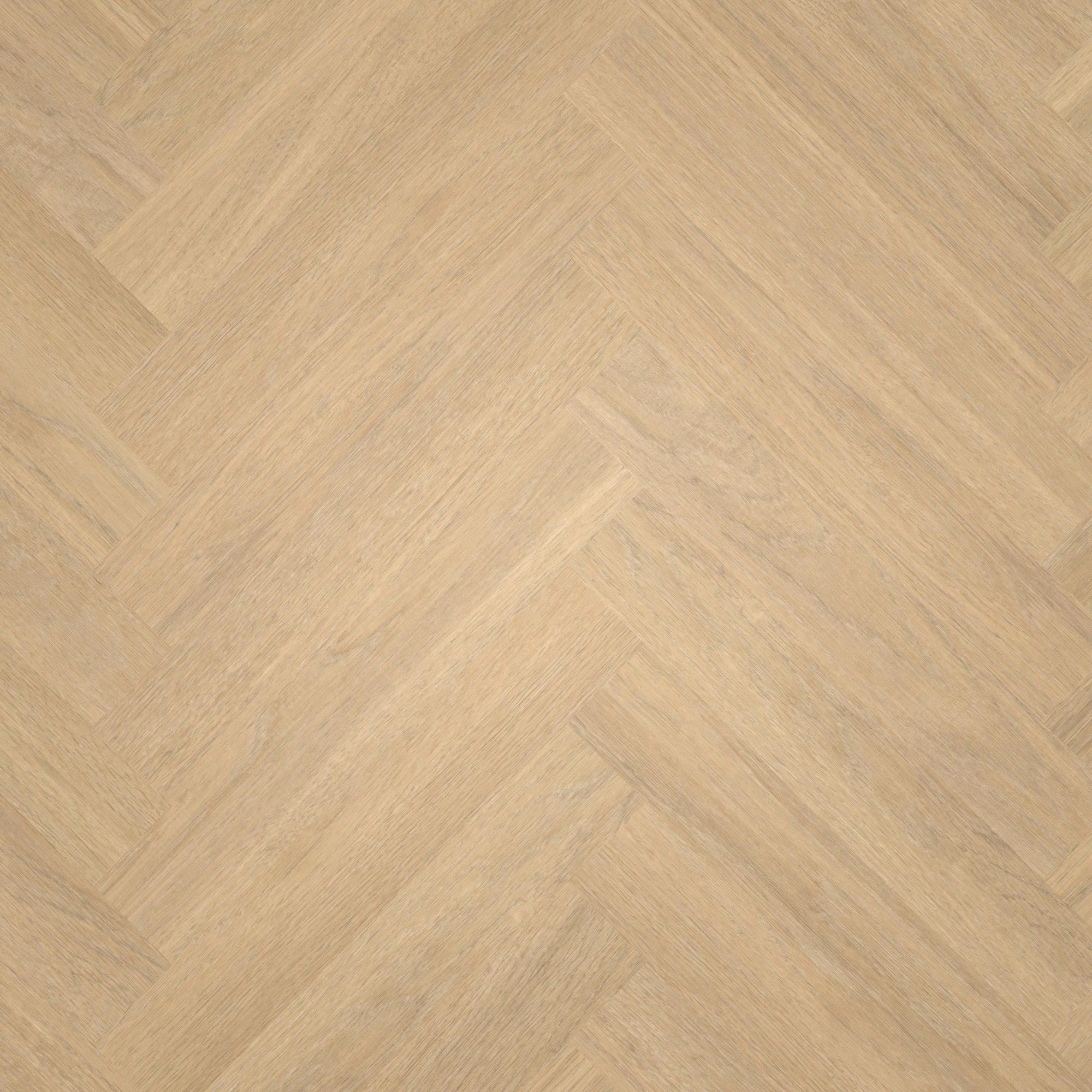 Draufsicht - wineo Klebe-Bioboden PURLINE wineo 1500 wood XS Mayfield Oak Nature Draufsicht - wineo PL15213WXS