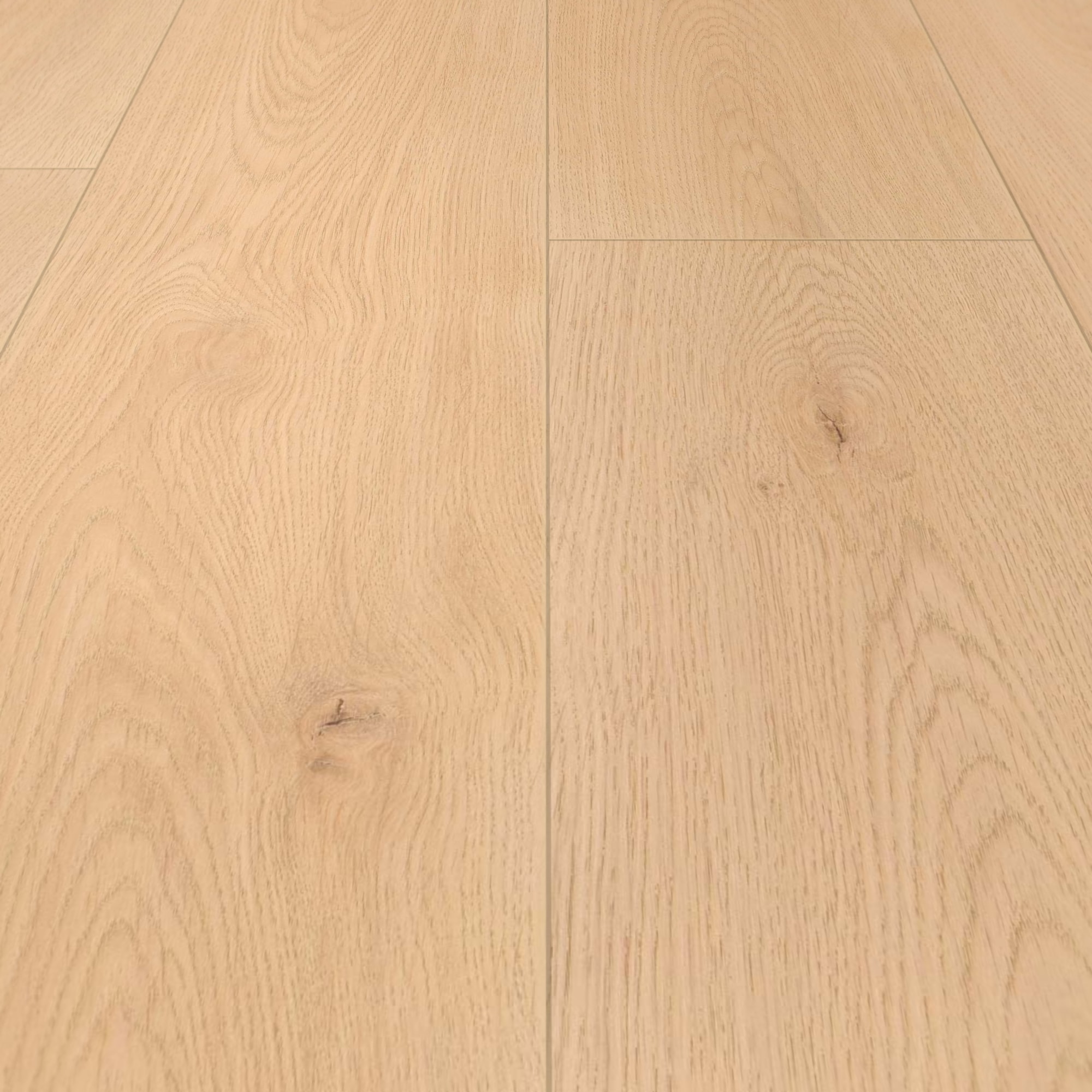 Detail Ansicht - wineo Klick-Bioboden PURLINE wineo 1000 wood XL Noble Oak Vanilla Detail Ansicht - wineo PLC310R