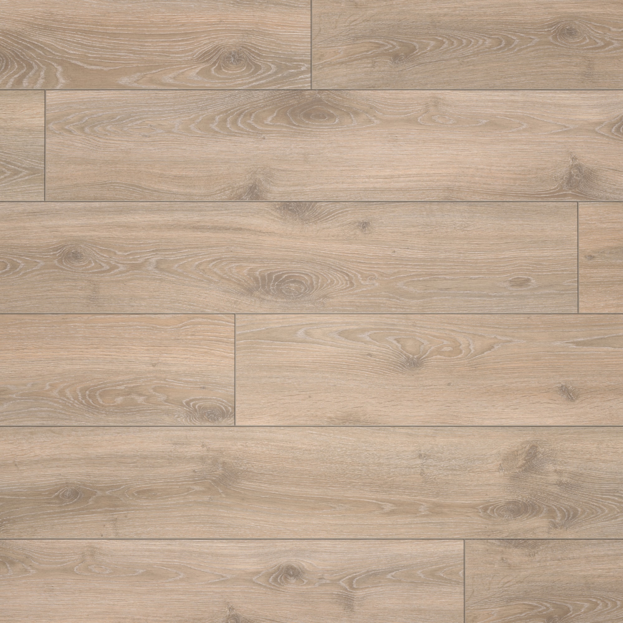 Draufsicht - Parador Laminat Classic 1050 Eiche Tradition Grau-beige Draufsicht - Parador 1517691