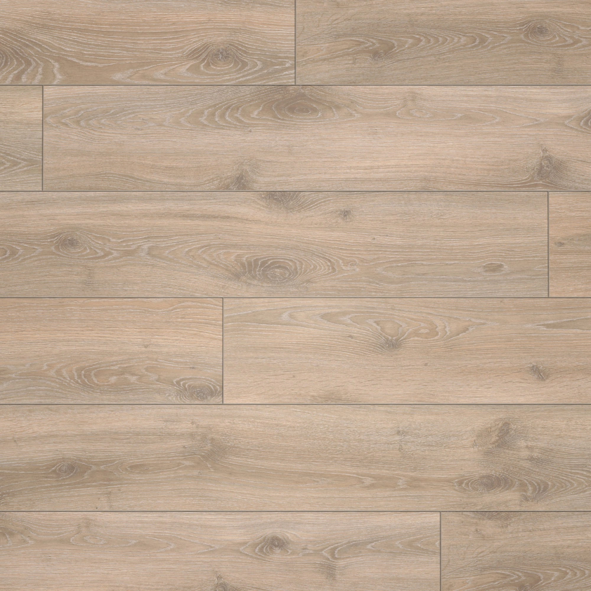 Draufsicht - Parador Laminat Classic 1050 Eiche Tradition Grau-beige Draufsicht - Parador 1517691