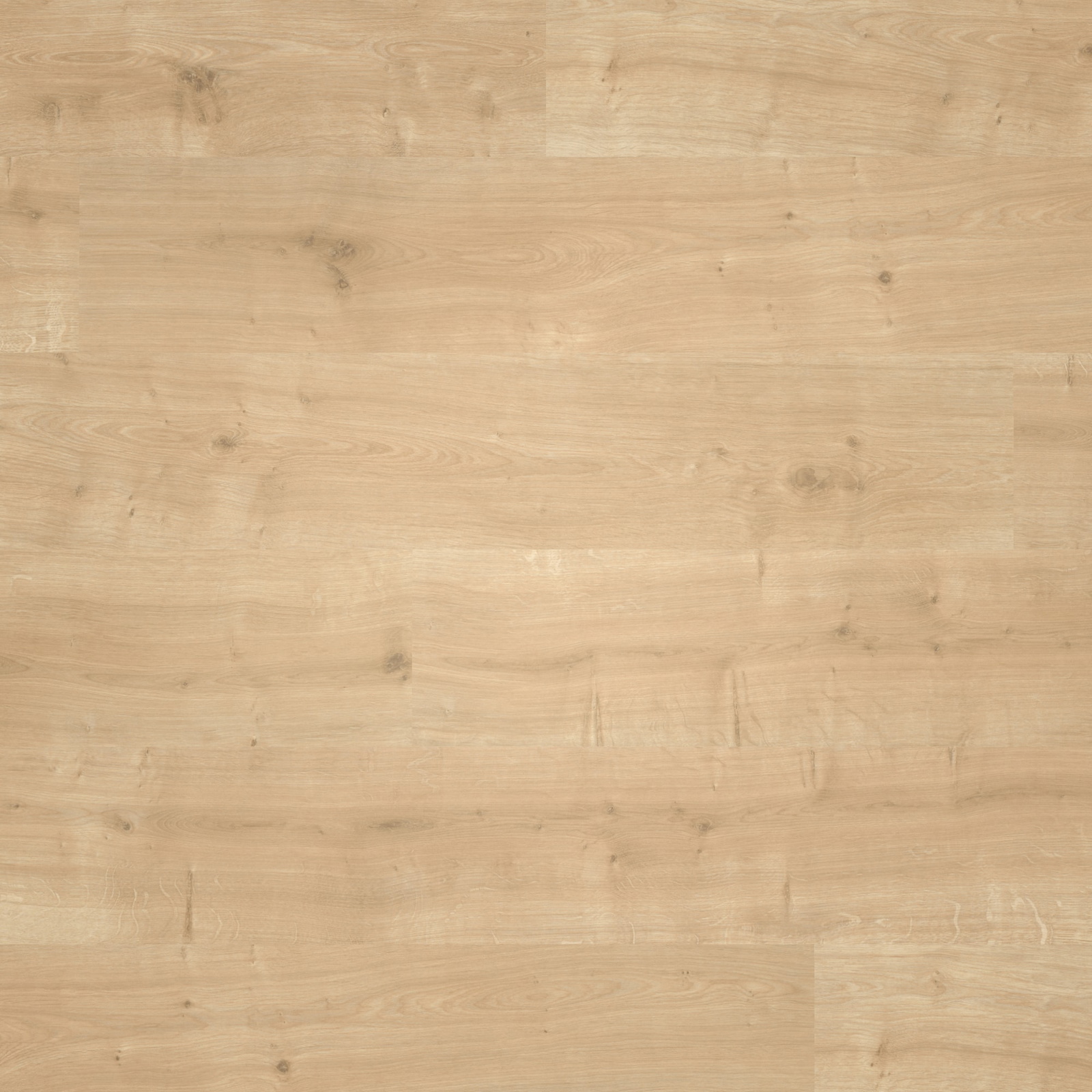 Parador Laminat Basic 400 Eiche geschliffen Seidenmatte Struktur 0V