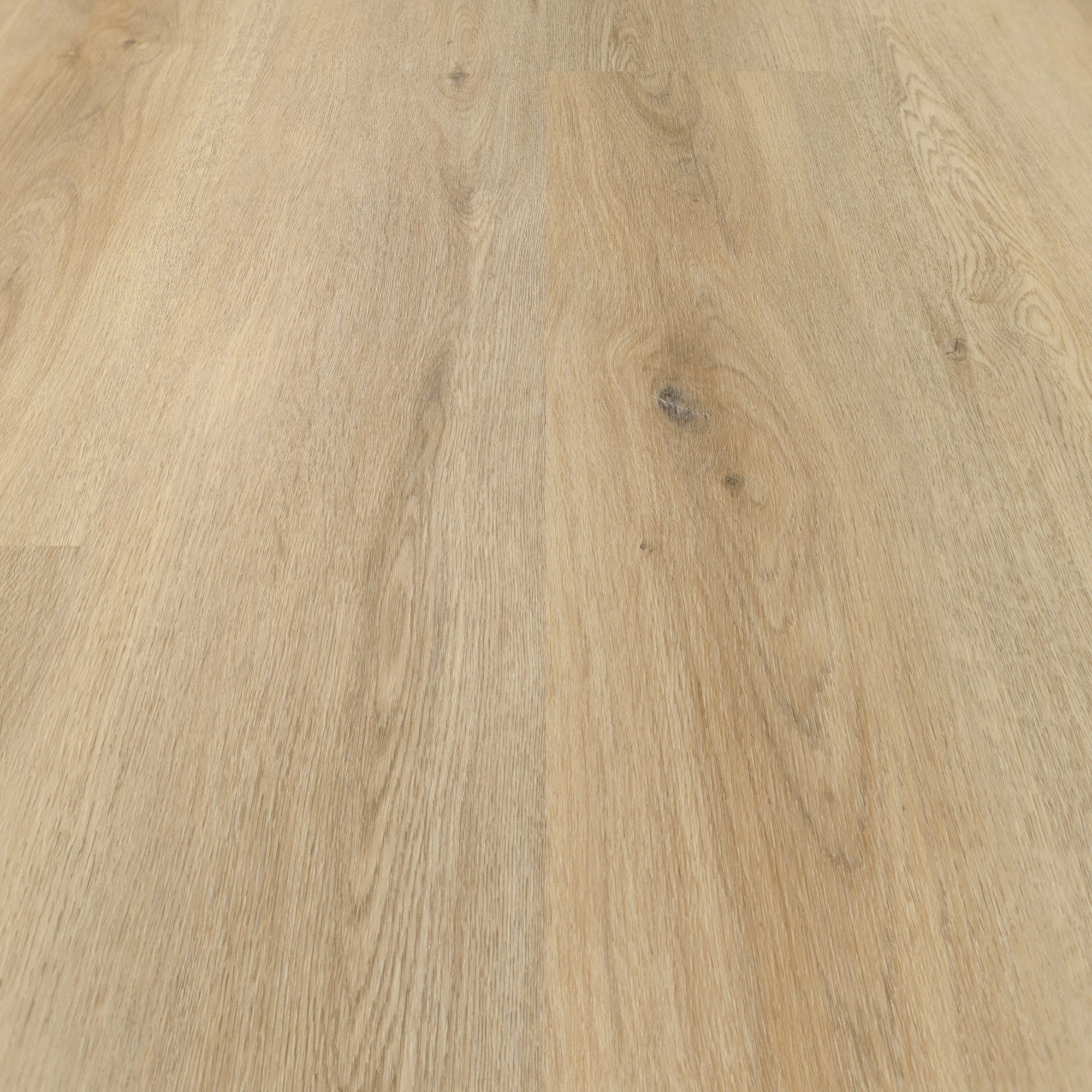 nexflor Rigid Klick-Vinyl Apollo Click Collection Mycenae Oak Holzstruktur Landhausdiele nexflor Rigid Klick-Vinyl Apollo Click Collection Mycenae Oak Holzstruktur Landhausdiele