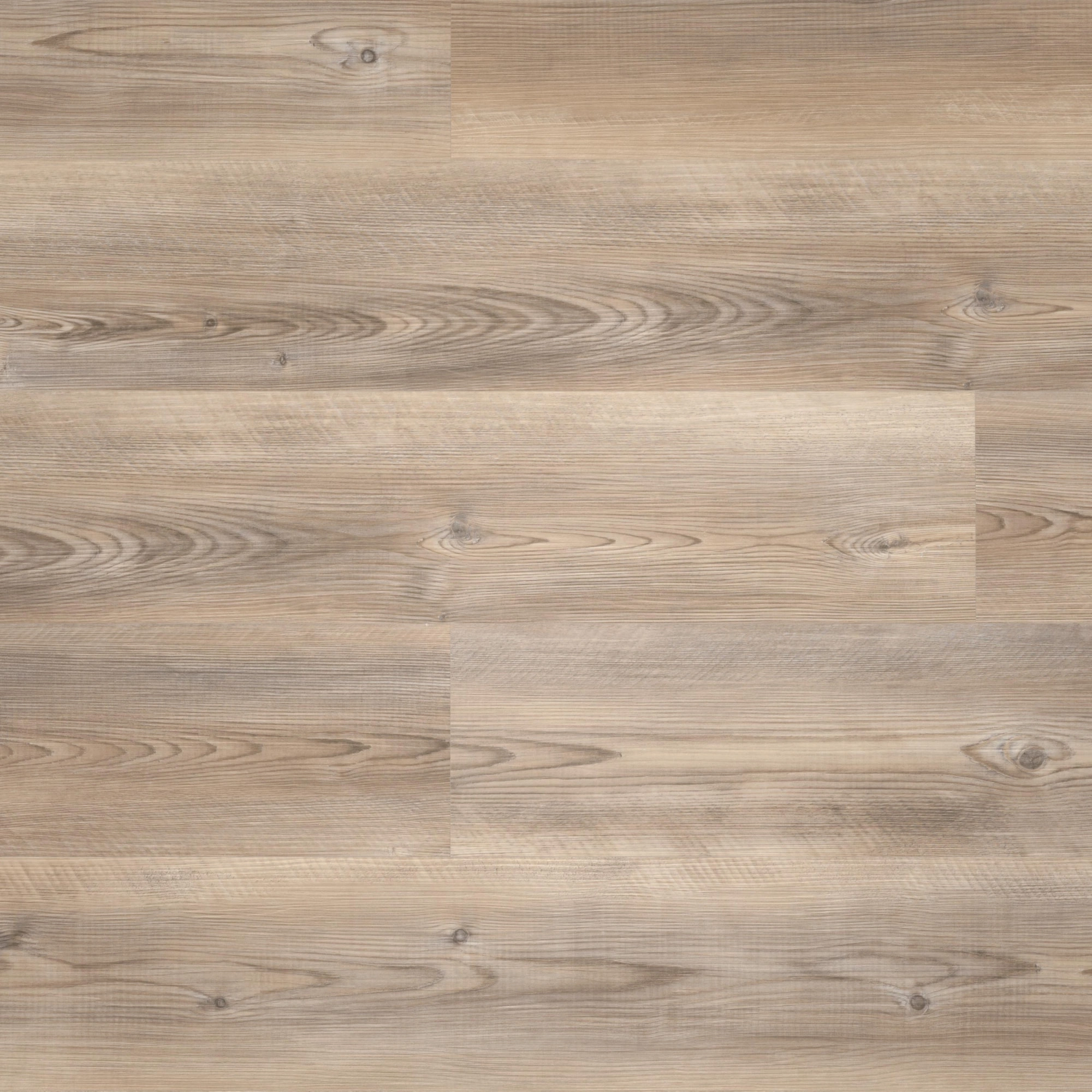 Draufsicht - wineo Rigid Klick-Vinyl wineo 400 wood L Coast Pine Taupe Draufsicht - wineo RLC284WL
