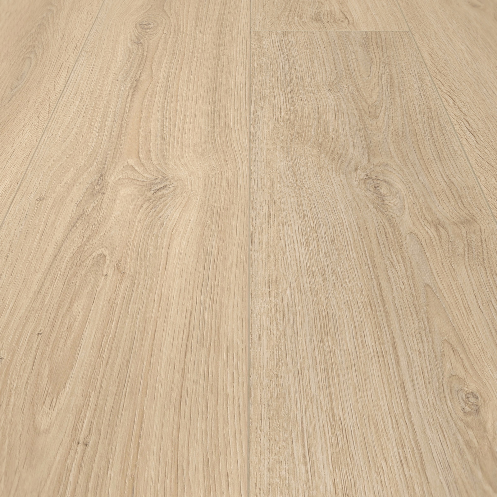 Detail Ansicht - MEISTER 400054-1287220-07122