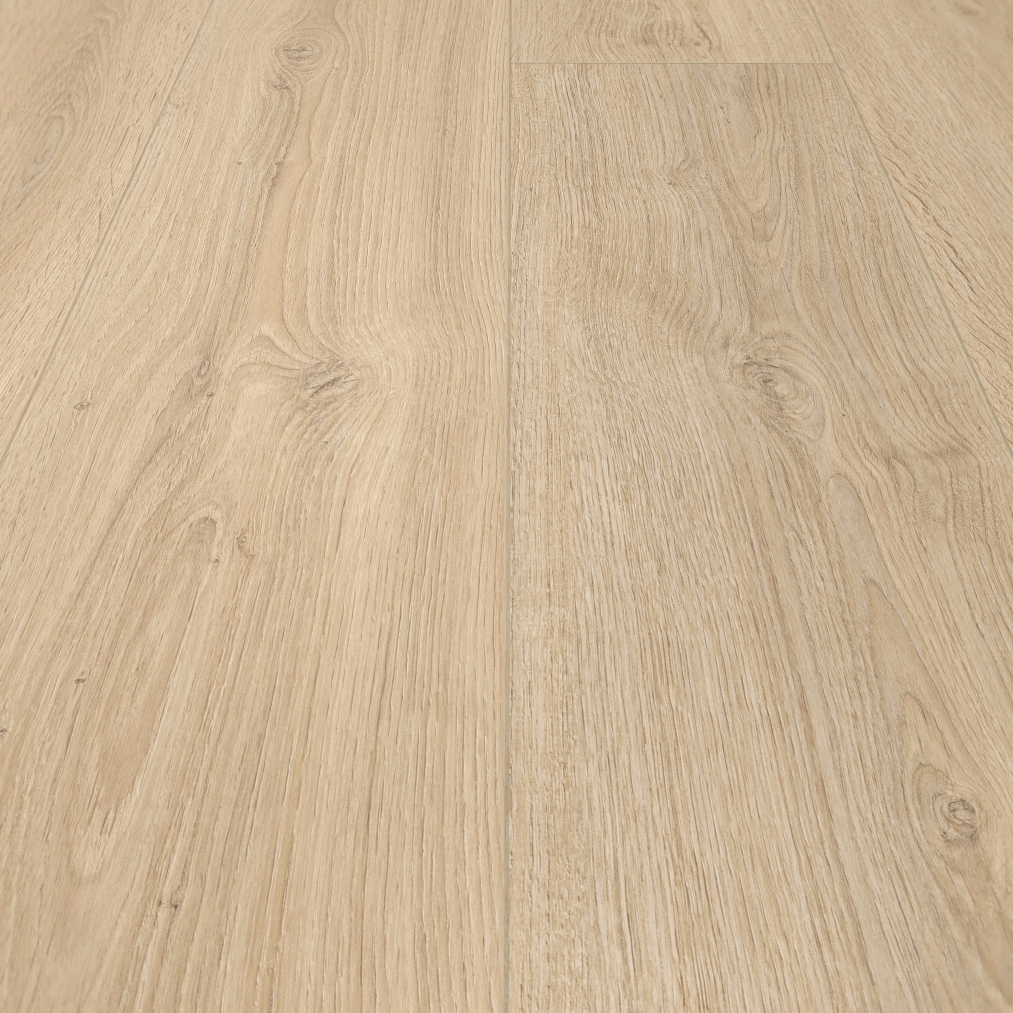 Detail Ansicht - MEISTER 400054-1287220-07122