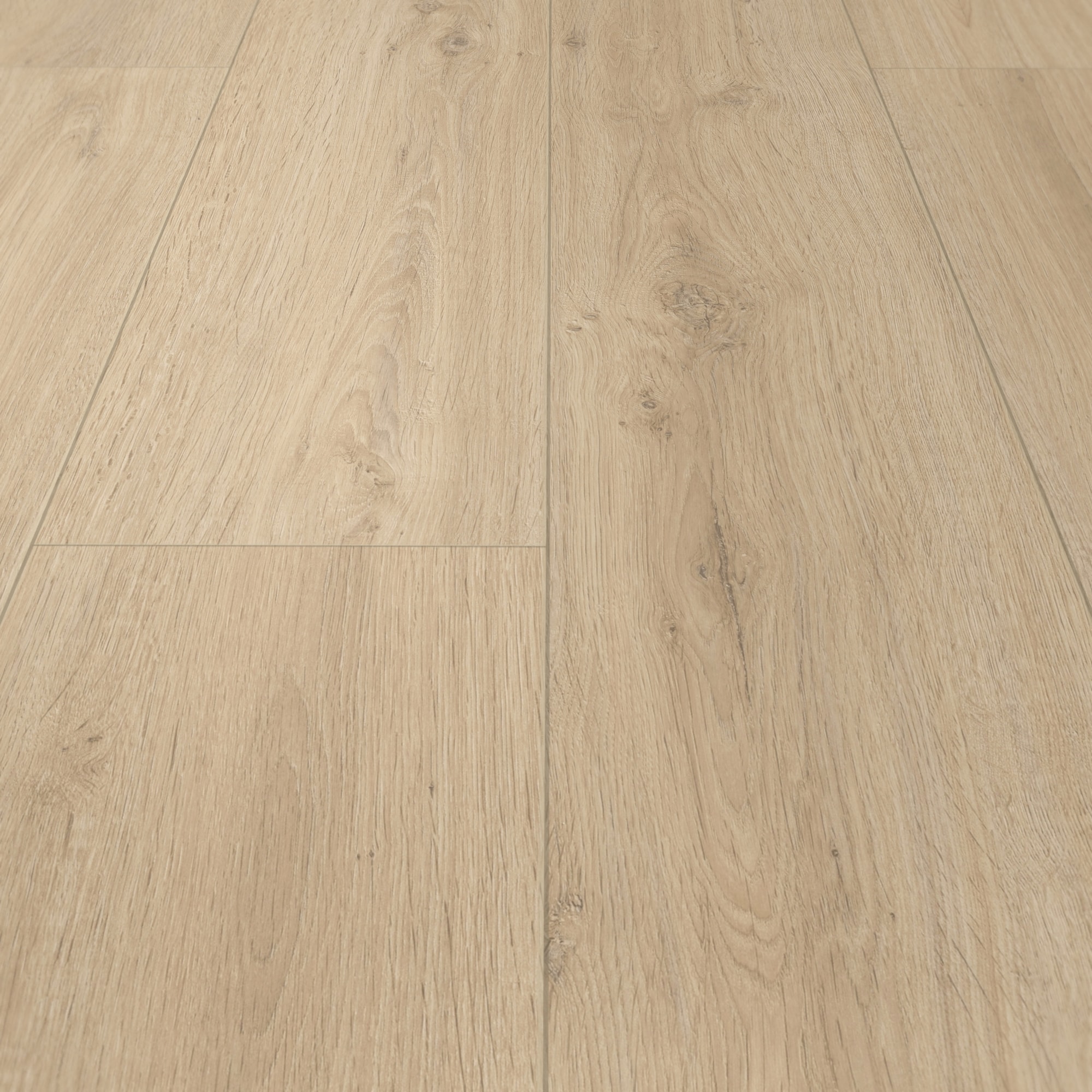 Detail Ansicht - Meister Laminat LD 150 Felseneiche sand Detail Ansicht - Meister 600017-1288198-07122