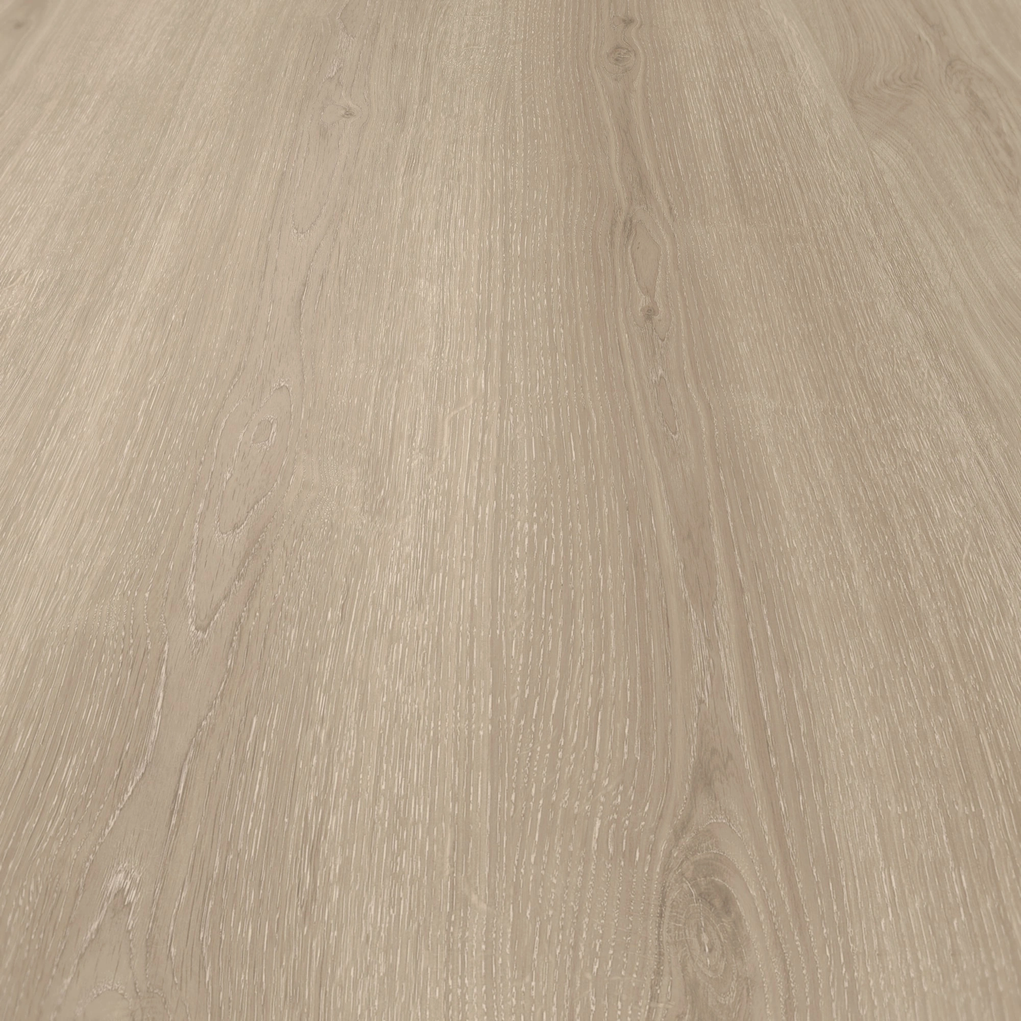 Detail Ansicht - Parador HDF Klick-Vinyl Basic 30 Eiche Regent grau Detail Ansicht - Parador 1748798