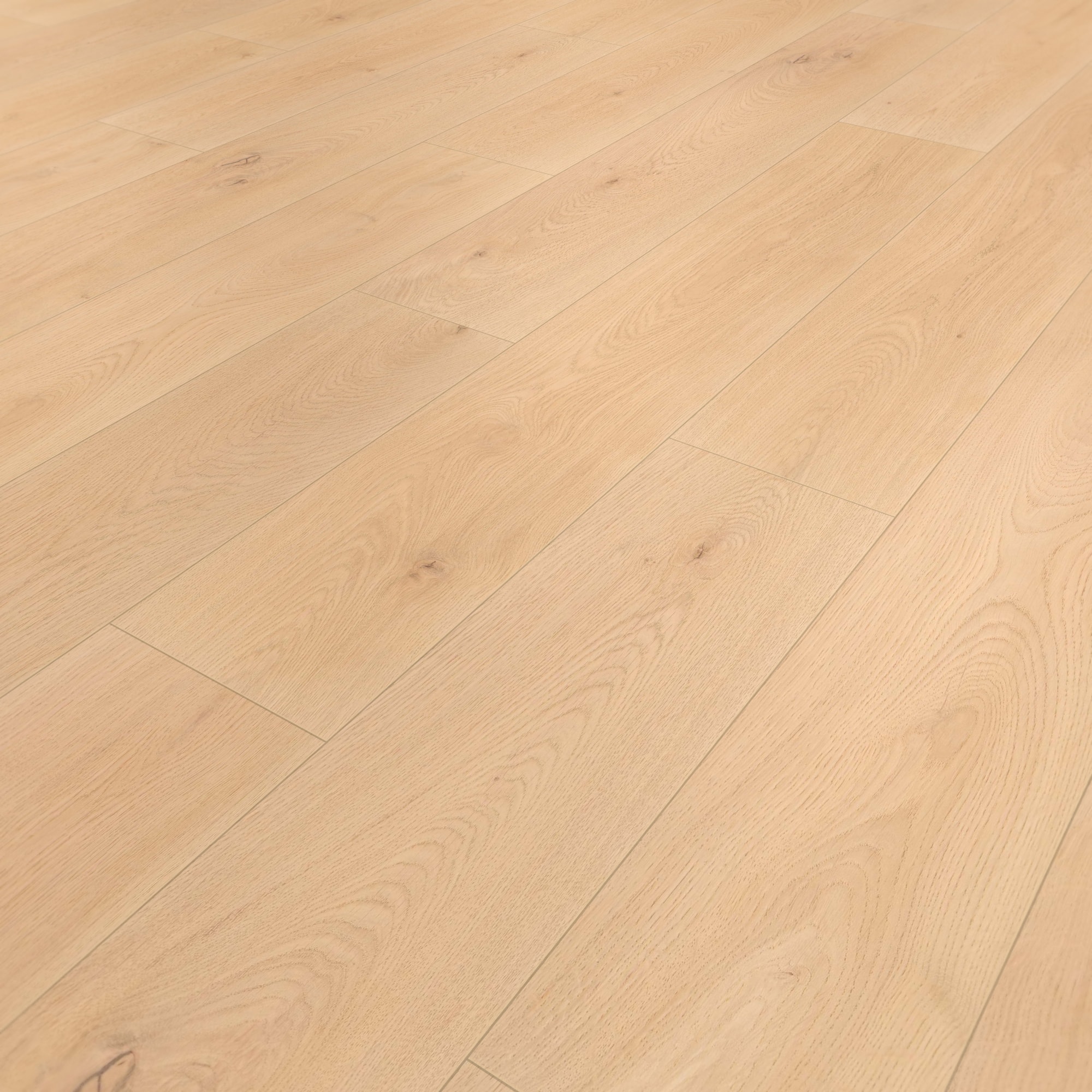Perspektivische Ansicht - wineo Klick-Bioboden PURLINE wineo 1000 wood XL Noble Oak Vanilla Perspektivische Ansicht - wineo PLC310R