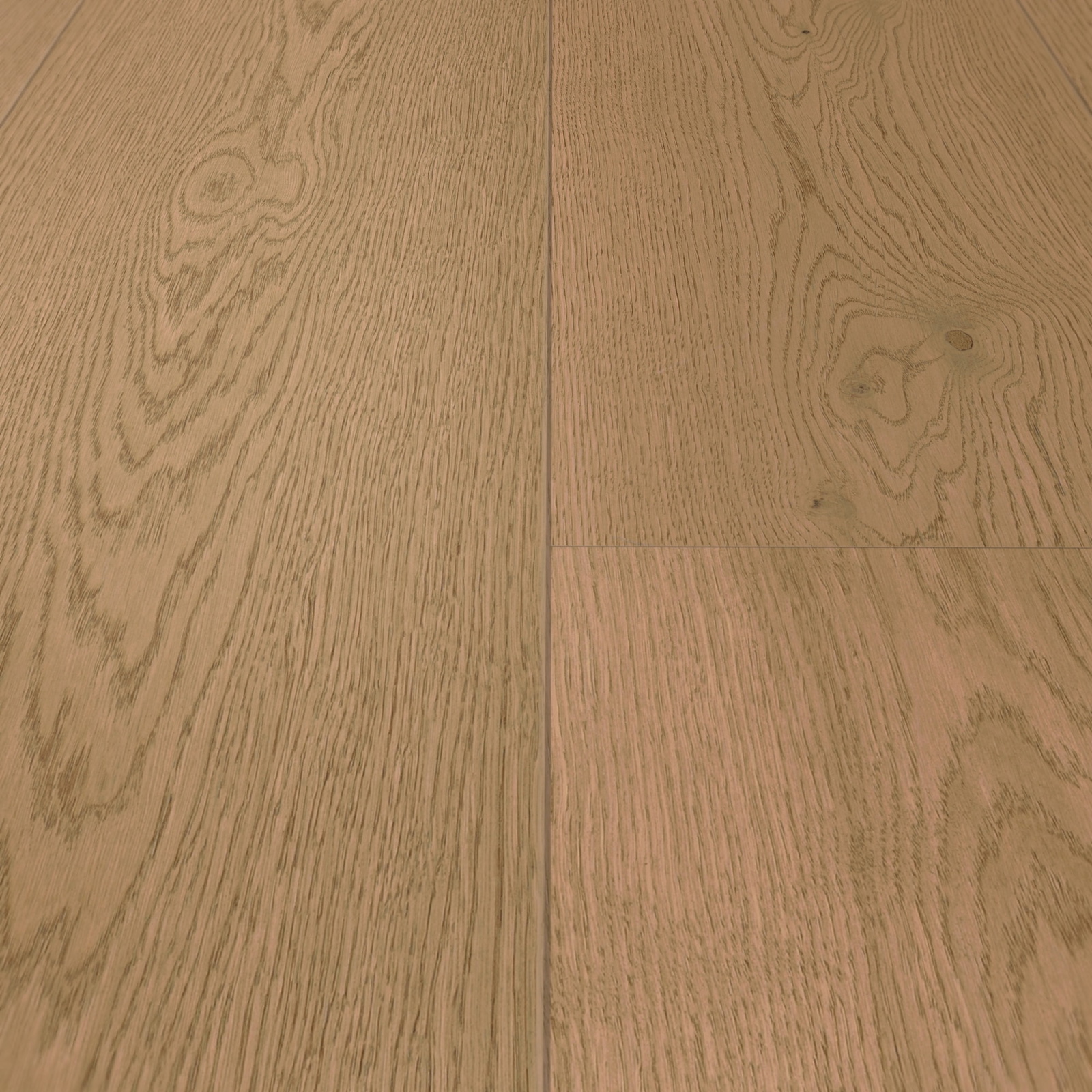 Detail Ansicht - MEISTER 500214-2600320-20227