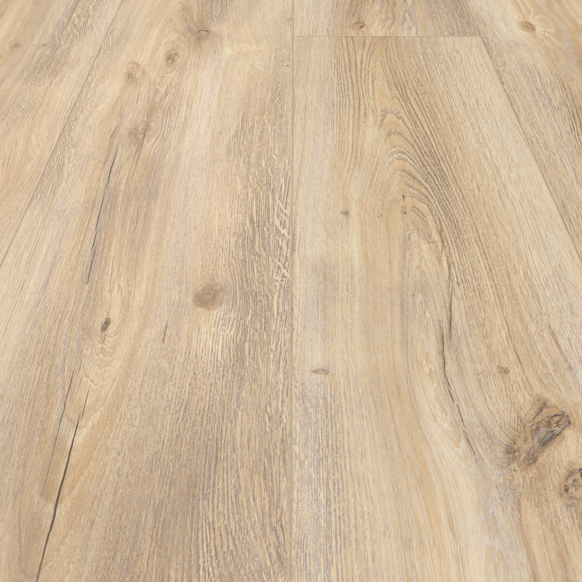 Detail Ansicht - MEISTER HDF Klick-Designboden DD 500 S Desert Oak Detail Ansicht - MEISTER 400054-1287220-06998