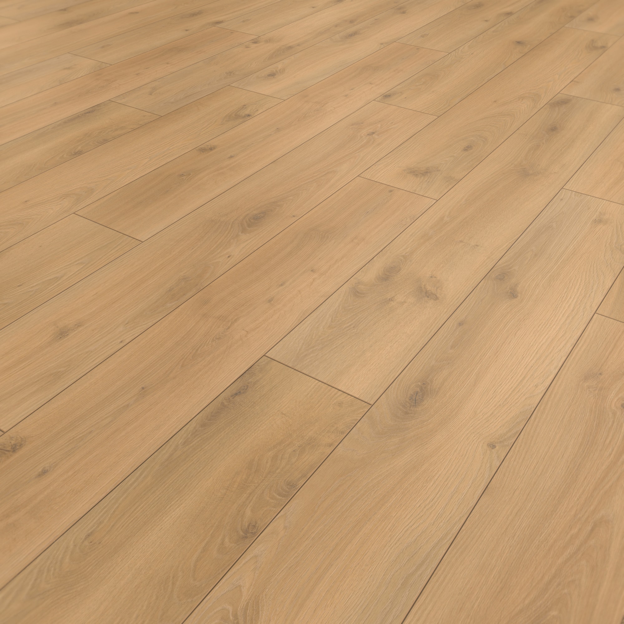 Perspektivische Ansicht - Parador Laminat Classic 1050 Eiche Tradition natur Perspektivische Ansicht - Parador 1601449