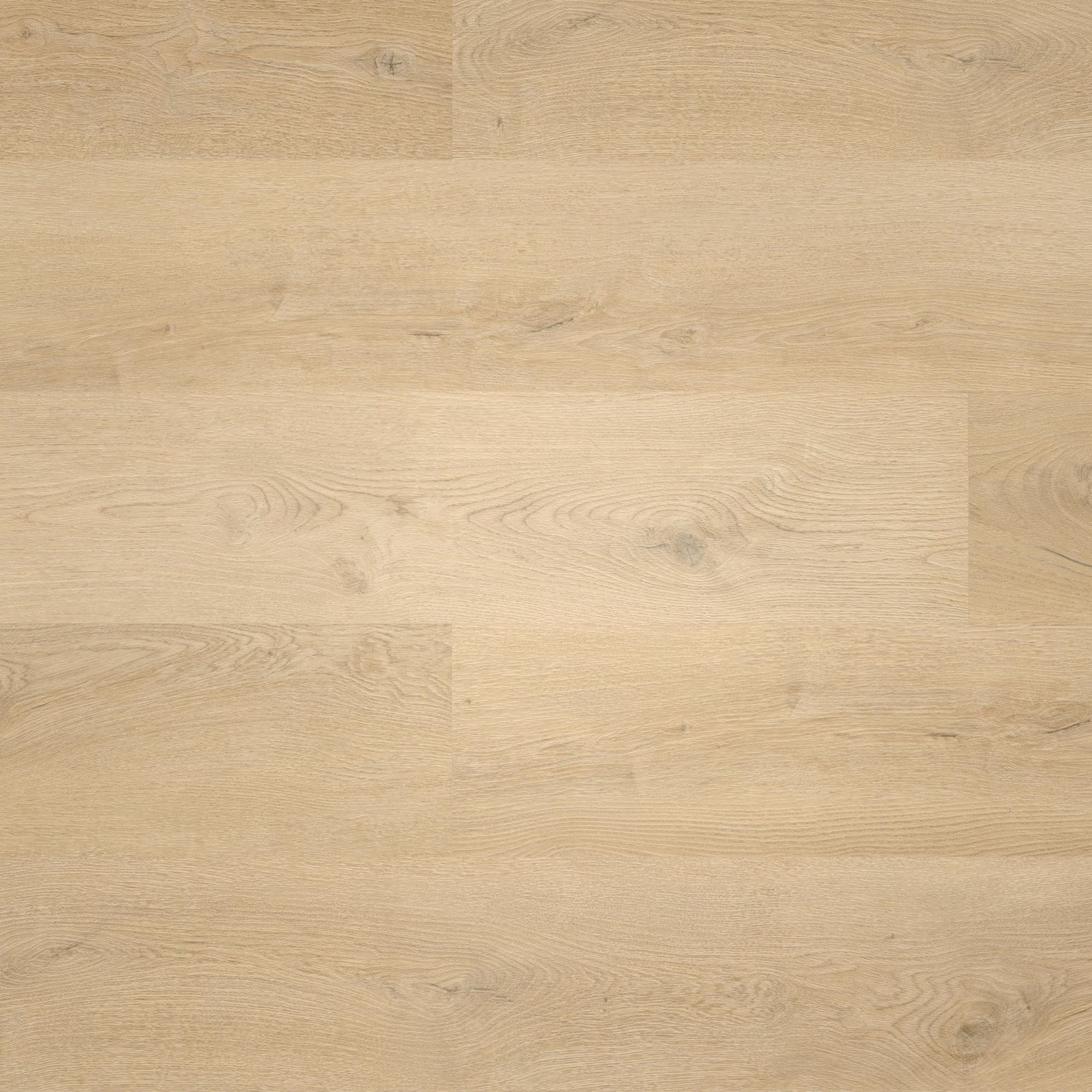 Draufsicht - wineo Klebe-Vinyl wineo 400 wood L Plain Oak Beige Draufsicht - wineo DB281WL