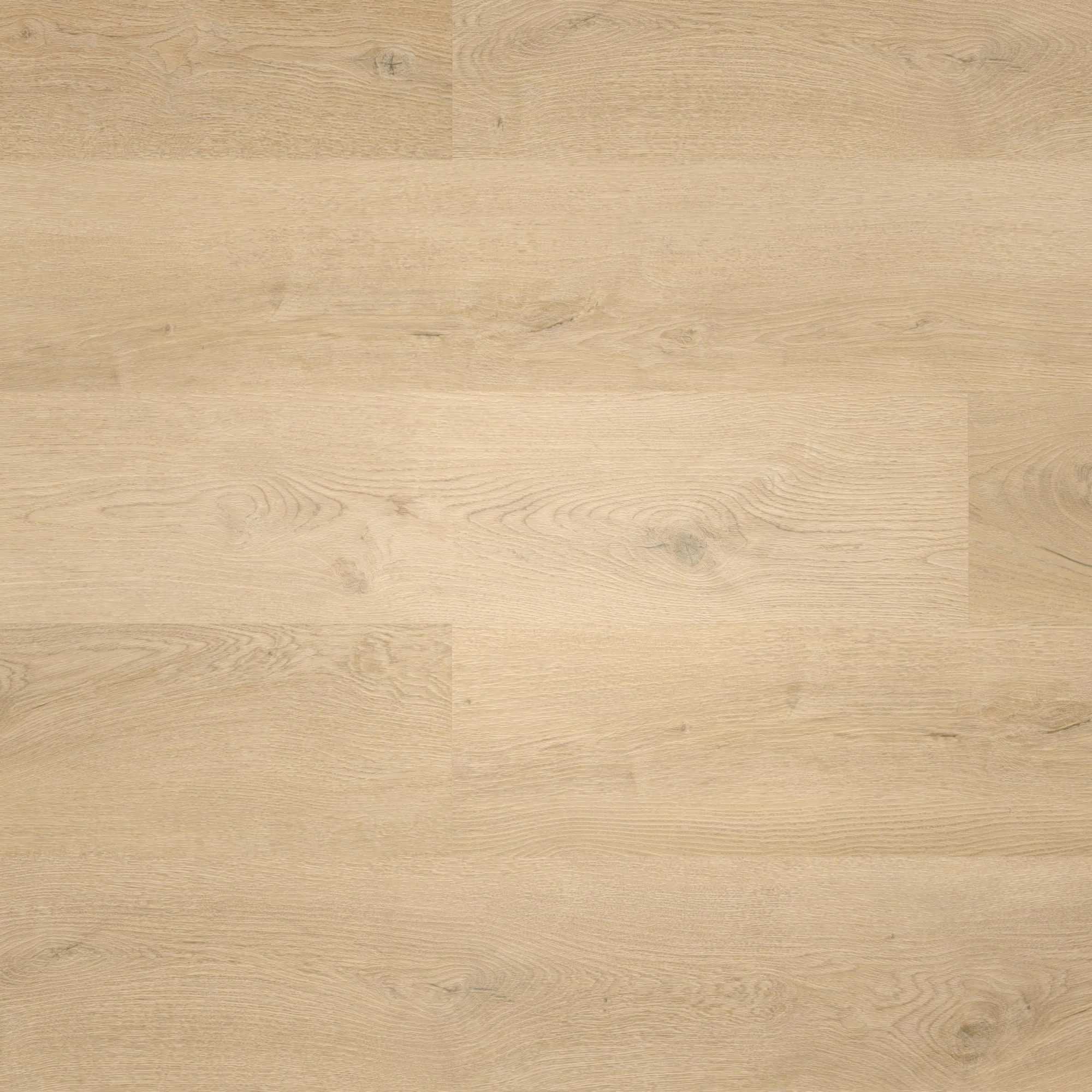 Draufsicht - wineo Klebe-Vinyl wineo 400 wood L Plain Oak Beige Draufsicht - wineo DB281WL