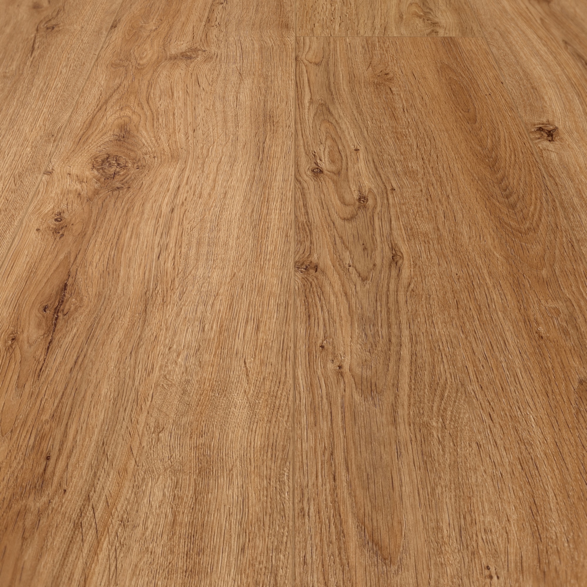 Detail Ansicht - MEISTER 400054-1287220-06999