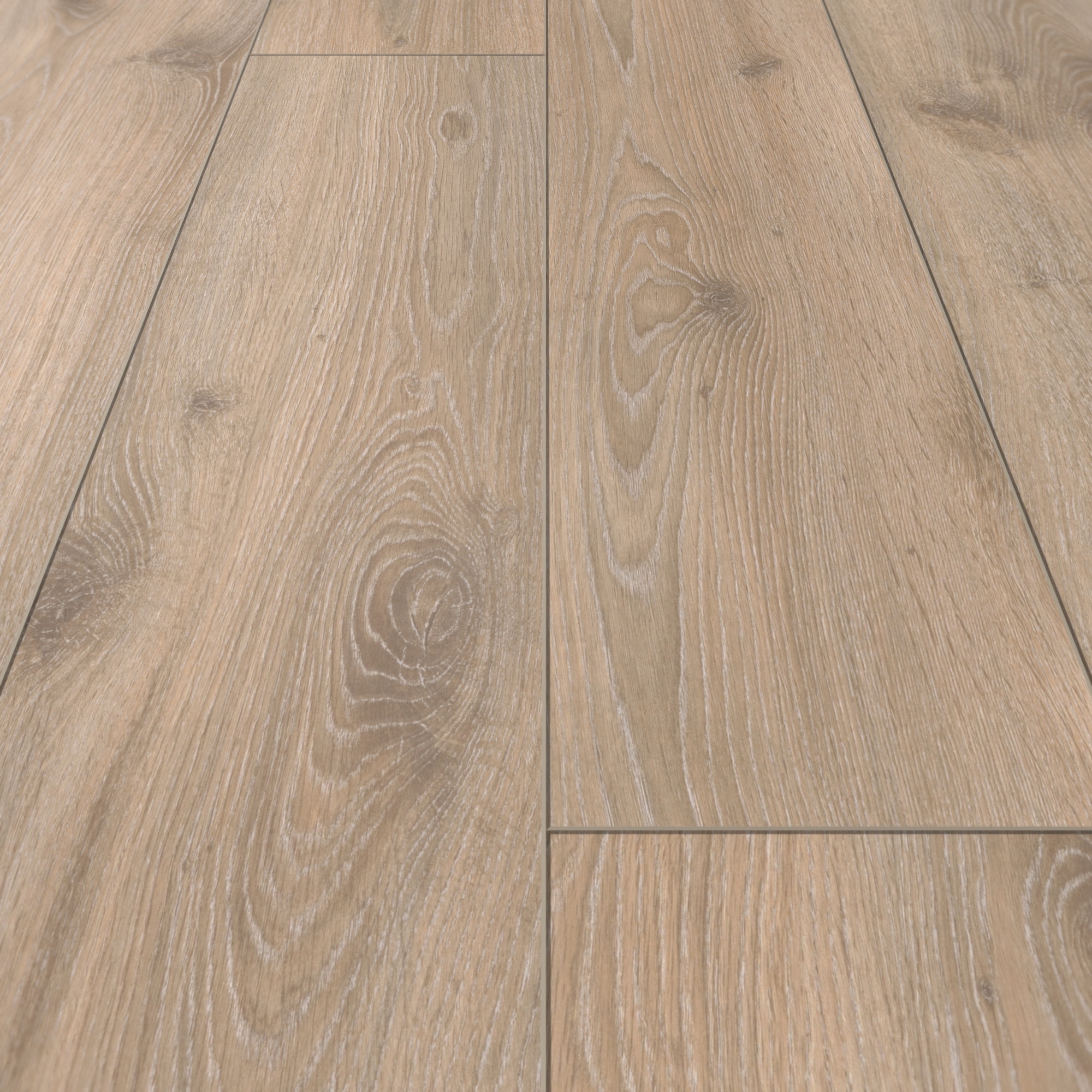 Detail Ansicht - Parador Laminat Classic 1050 Eiche Tradition Grau-beige Detail Ansicht - Parador 1517691