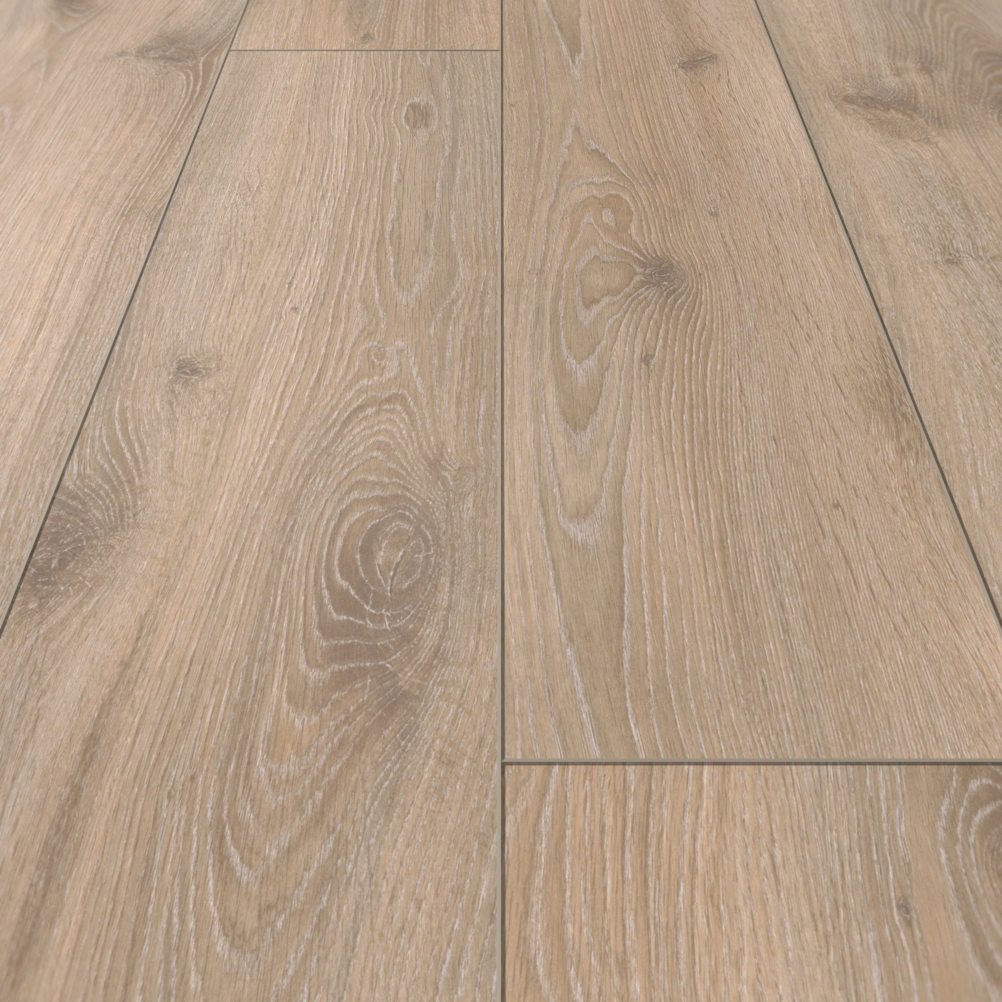 Detail Ansicht - Parador Laminat Classic 1050 Eiche Tradition Grau-beige Detail Ansicht - Parador 1517691