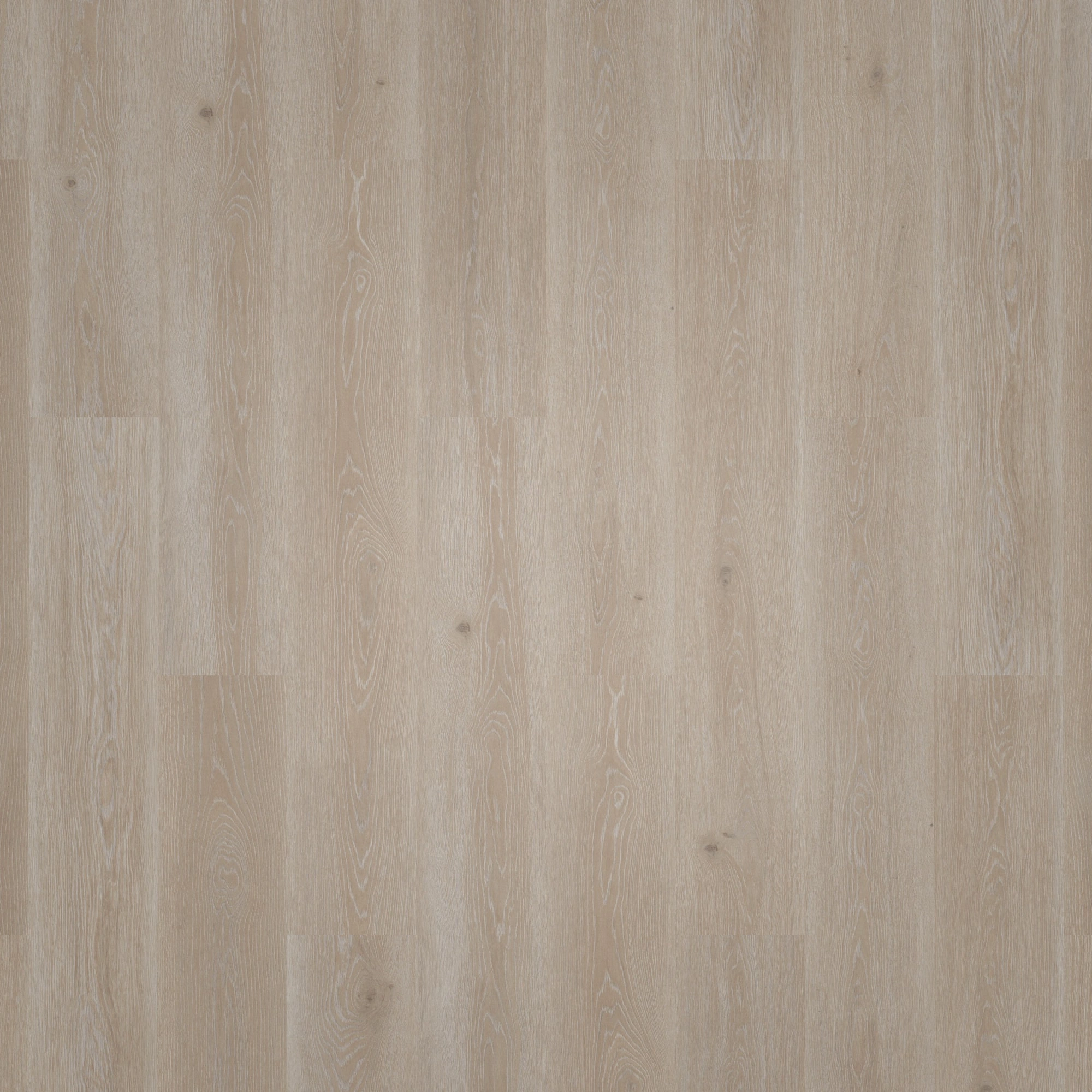 Draufsicht - Tarkett Klebe-Vinyl Essence 55 Tribe Oak Grey Draufsicht - Tarkett 260053008
