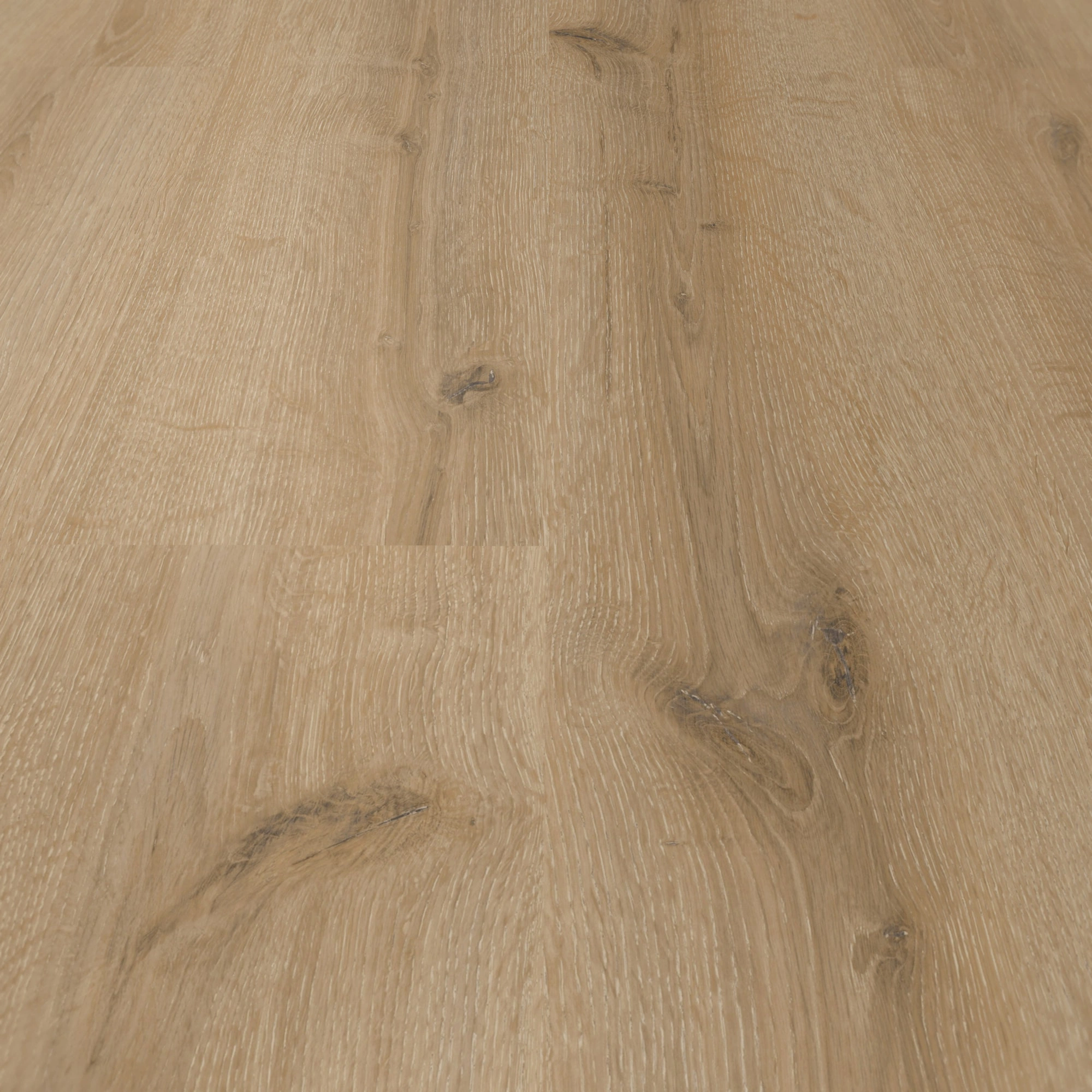 Detail Ansicht - MEISTER Laminat LC 150 Turmeiche creme Detail Ansicht - MEISTER 600014-1288198-07120