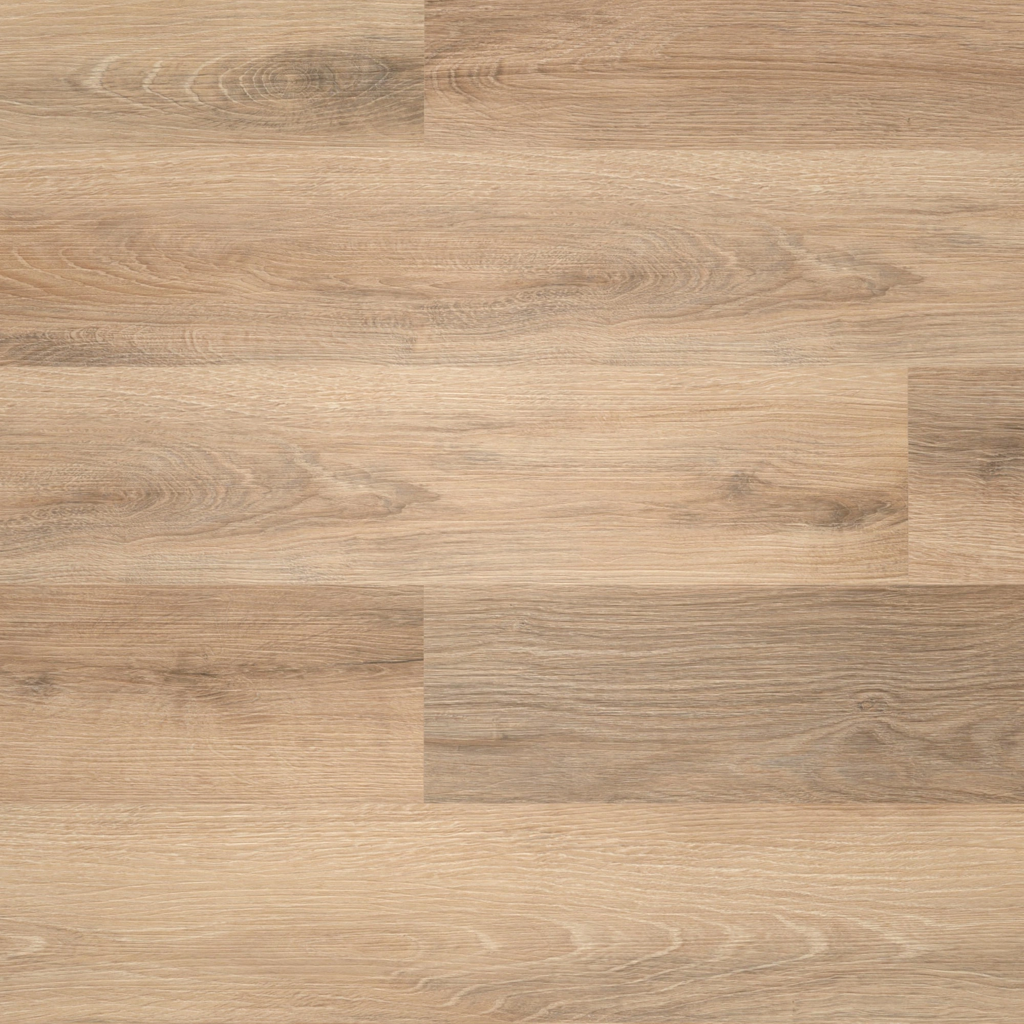 Draufsicht - wineo Klebe-Vinyl wineo 400 wood L Vivid Oak Nature Draufsicht - wineo DB283WL