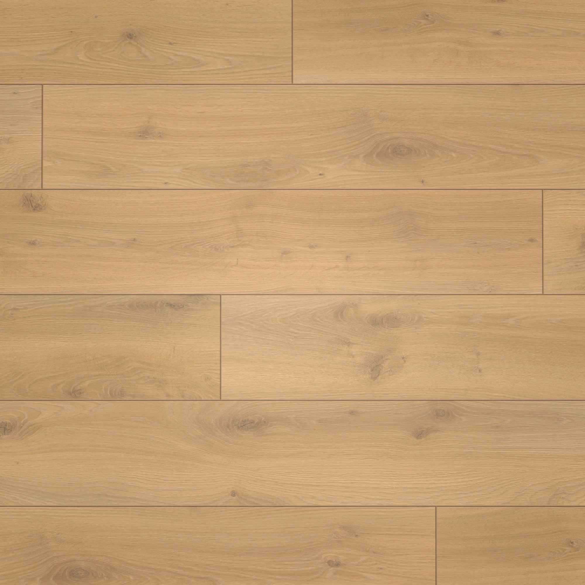 Draufsicht - Parador Laminat Classic 1050 Eiche Tradition natur Draufsicht - Parador 1601449