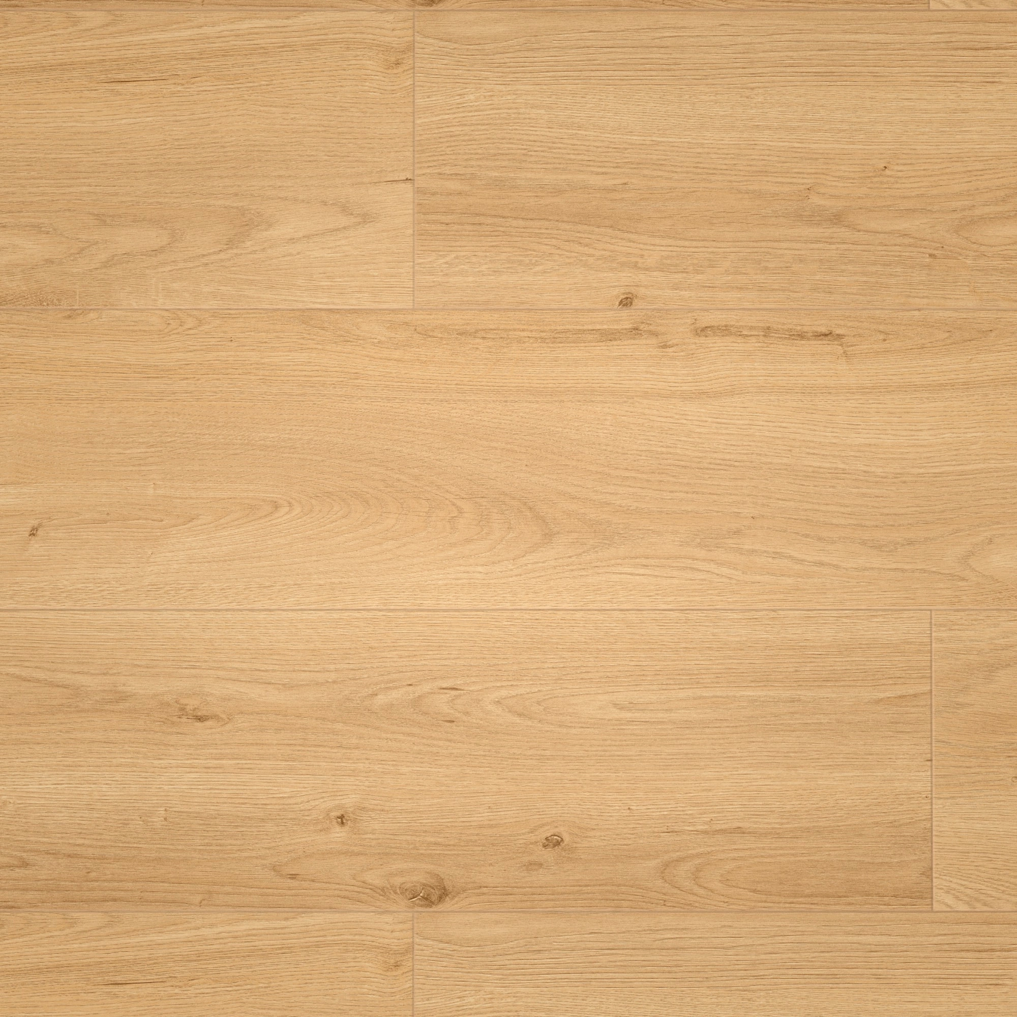 Draufsicht - MEISTER Klebe-Designboden DD 250 Earth Oak Draufsicht - MEISTER 400053-1290253-07450