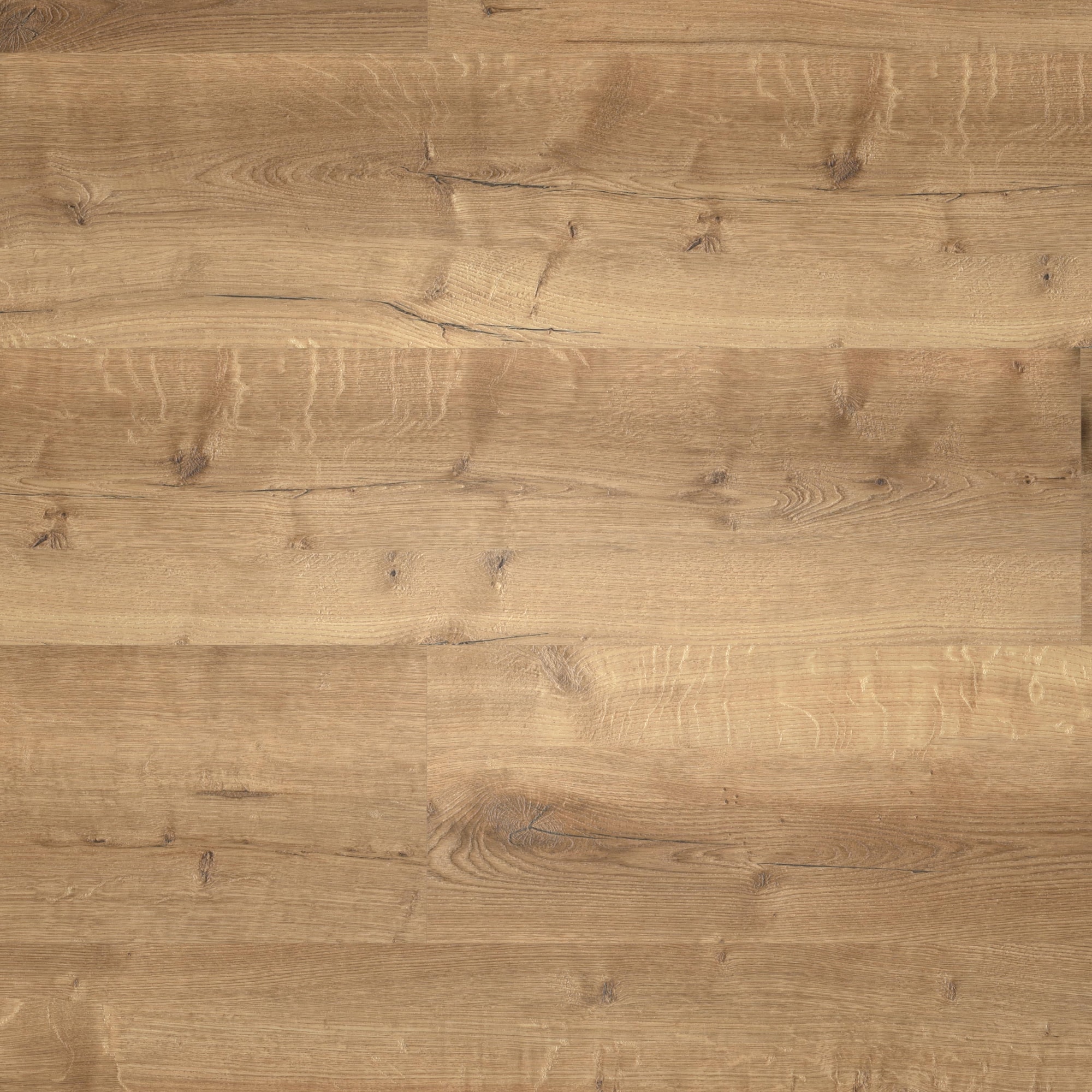 Draufsicht - wineo HDF Klick-Vinyl wineo 400 wood XL Comfort Oak Mellow Draufsicht - wineo MLD129WXL