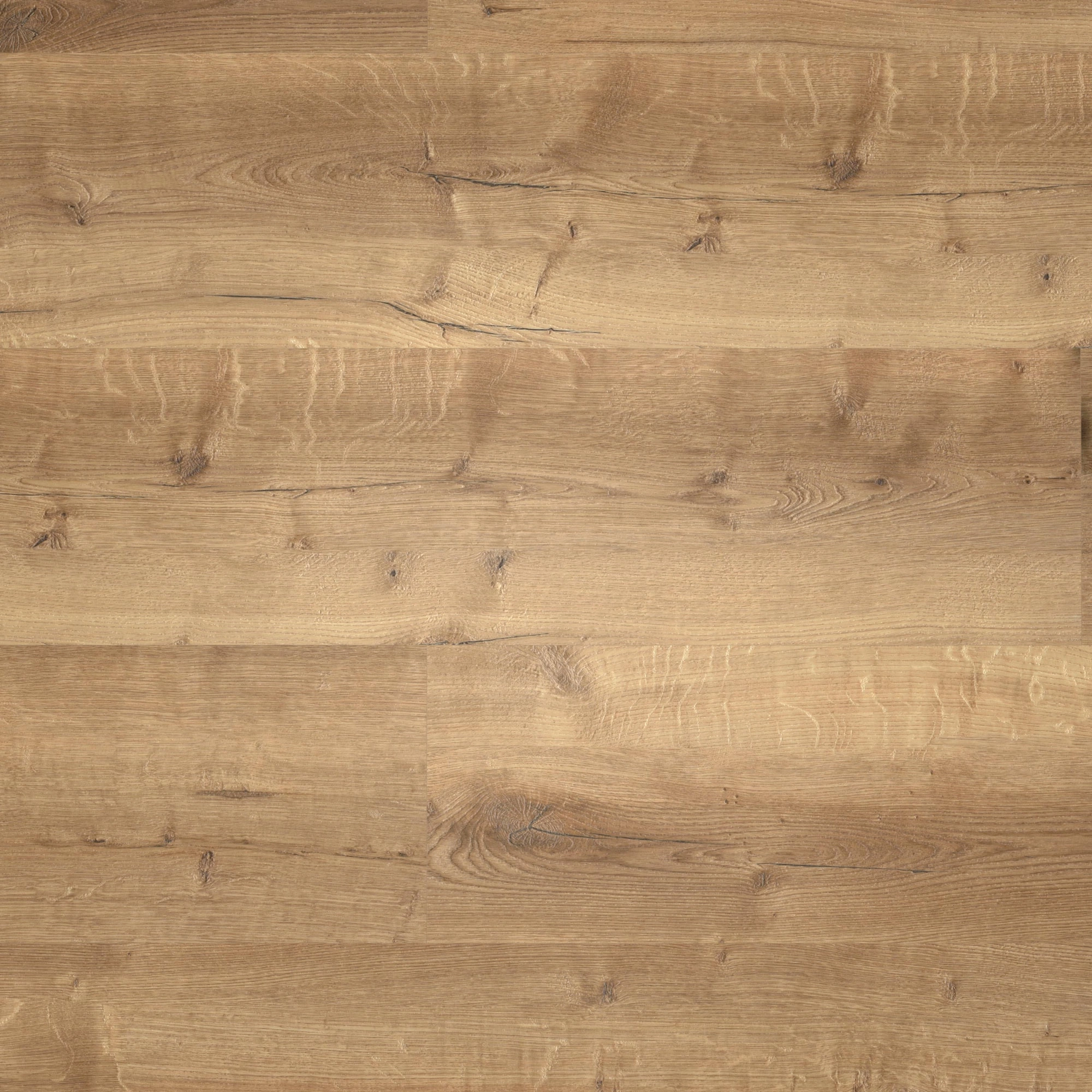 Draufsicht - wineo HDF Klick-Vinyl wineo 400 wood XL Comfort Oak Mellow Draufsicht - wineo MLD129WXL